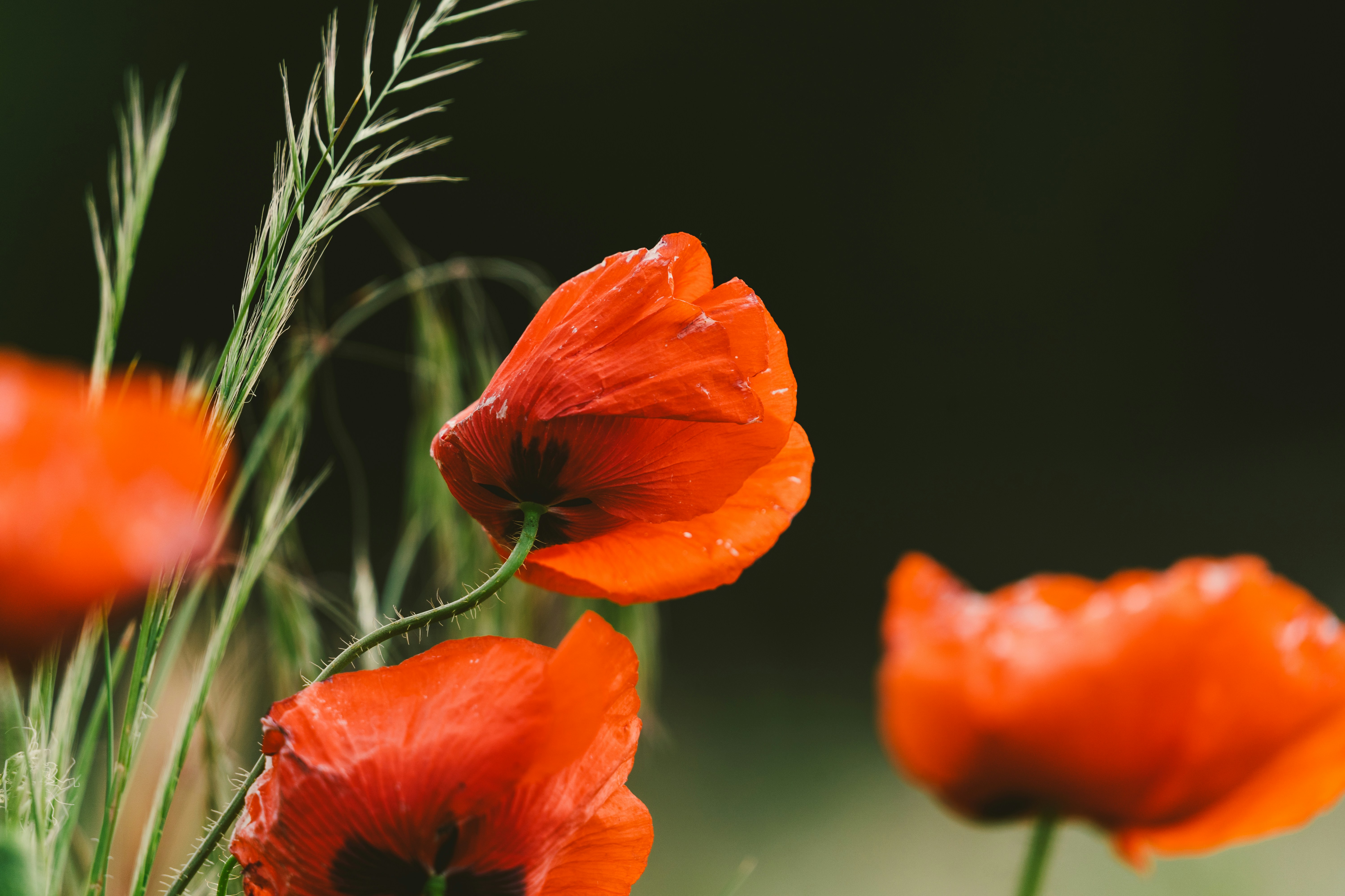 Photo by thestefankostic