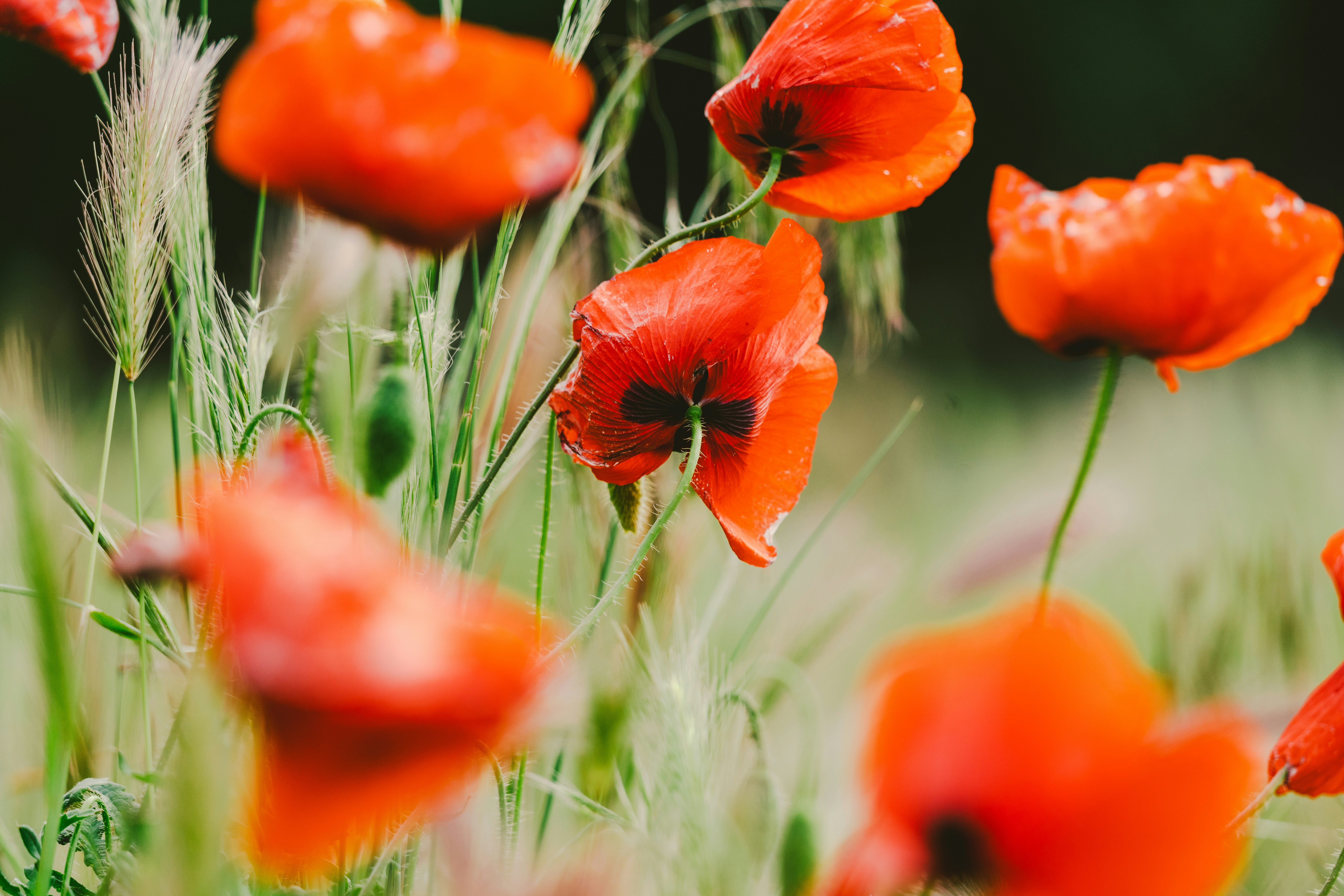 Photo by thestefankostic