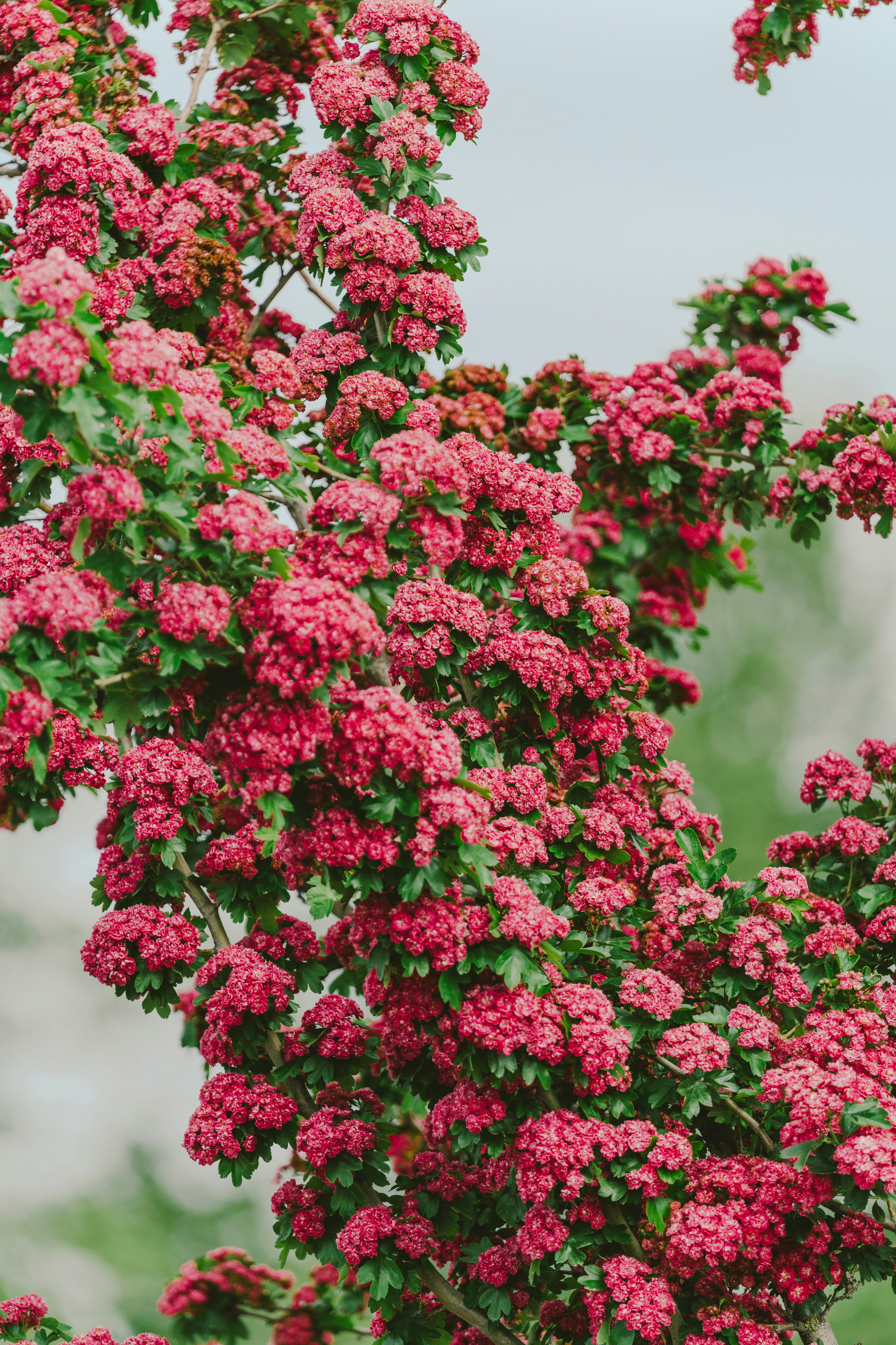 Novi Sad – Safety, Health & Local Etiquette