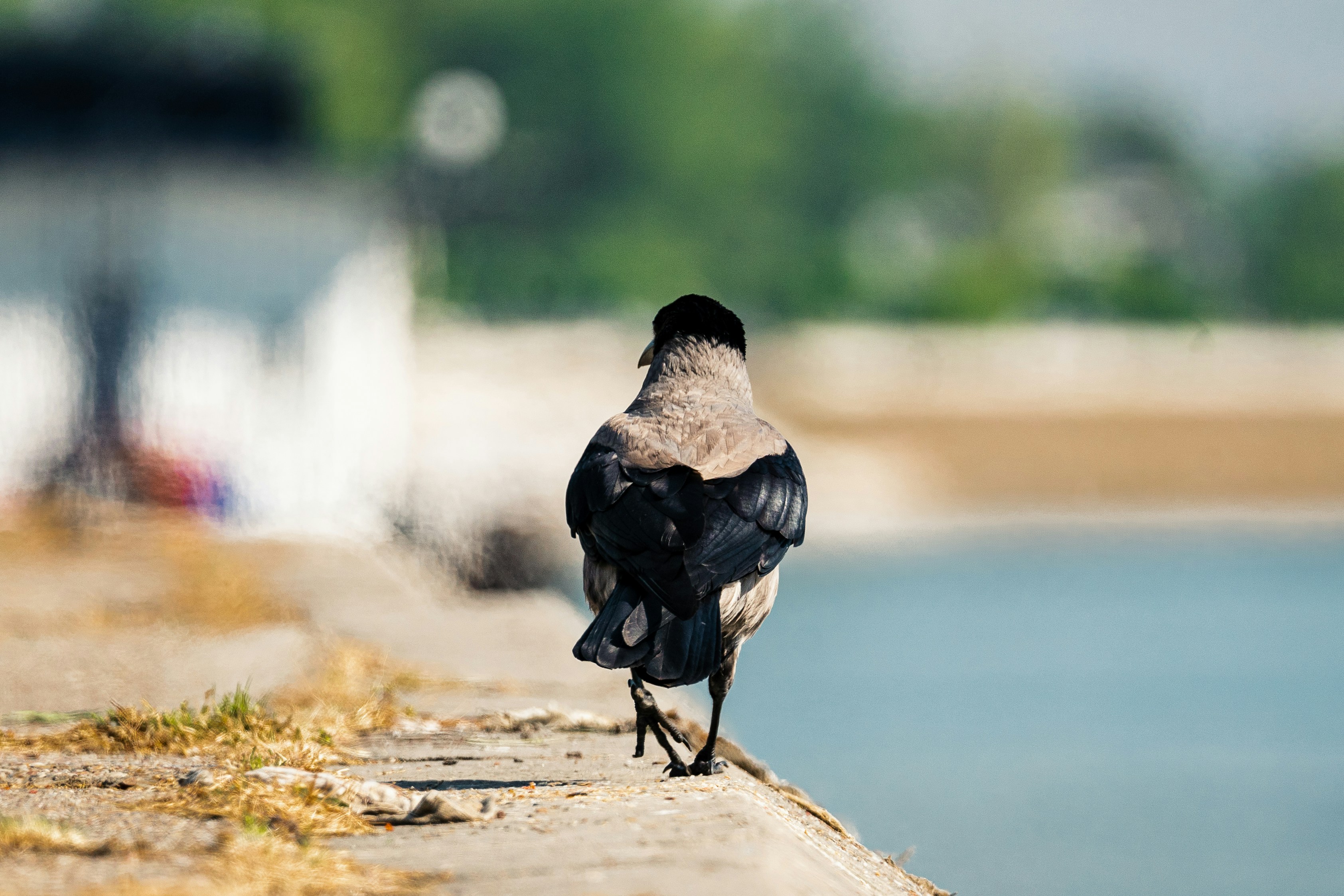 Photo by thestefankostic