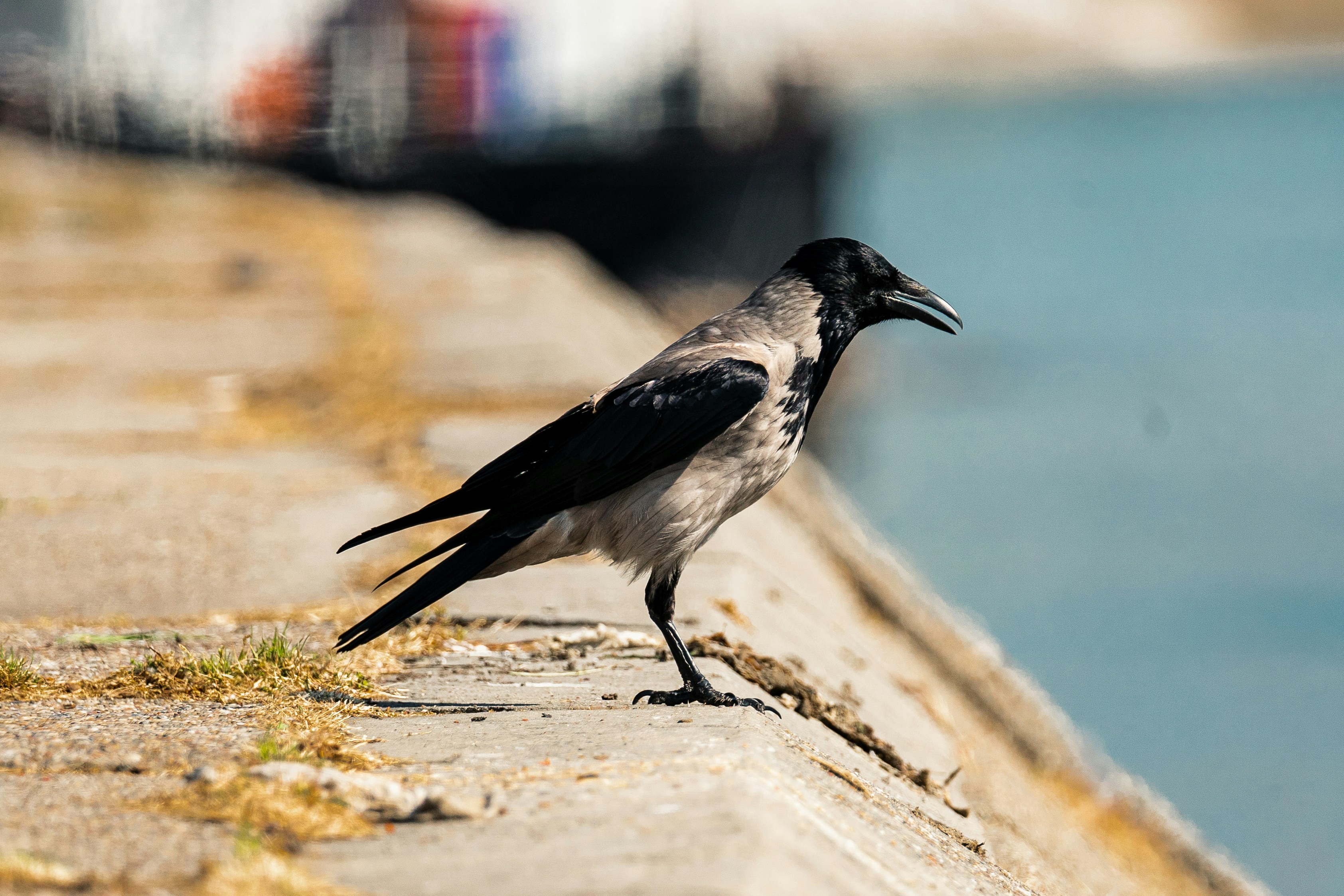 Photo by thestefankostic