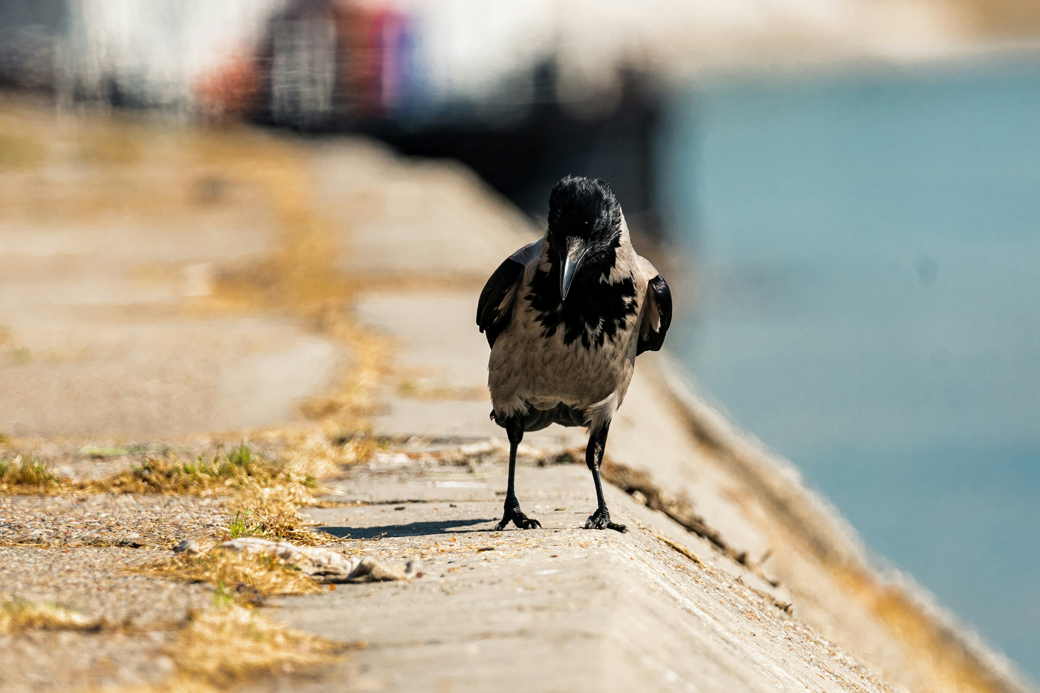 Photo by thestefankostic