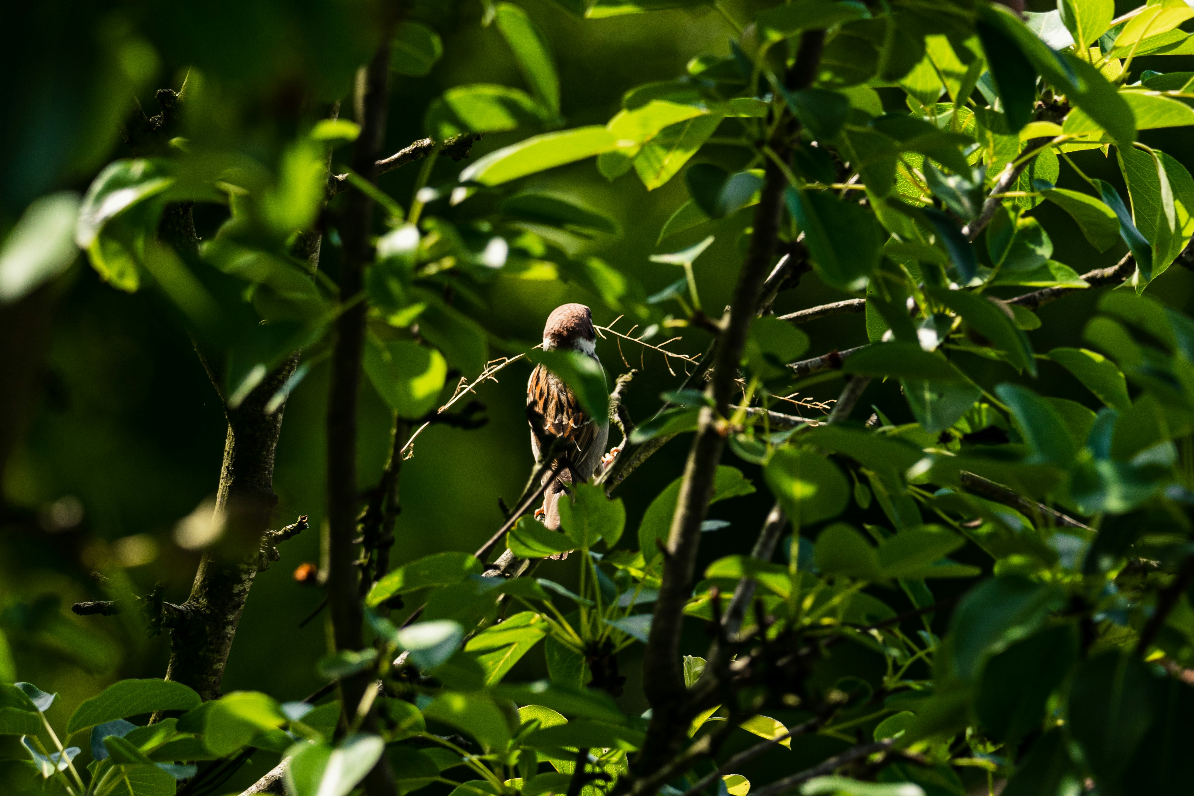 Photo by thestefankostic