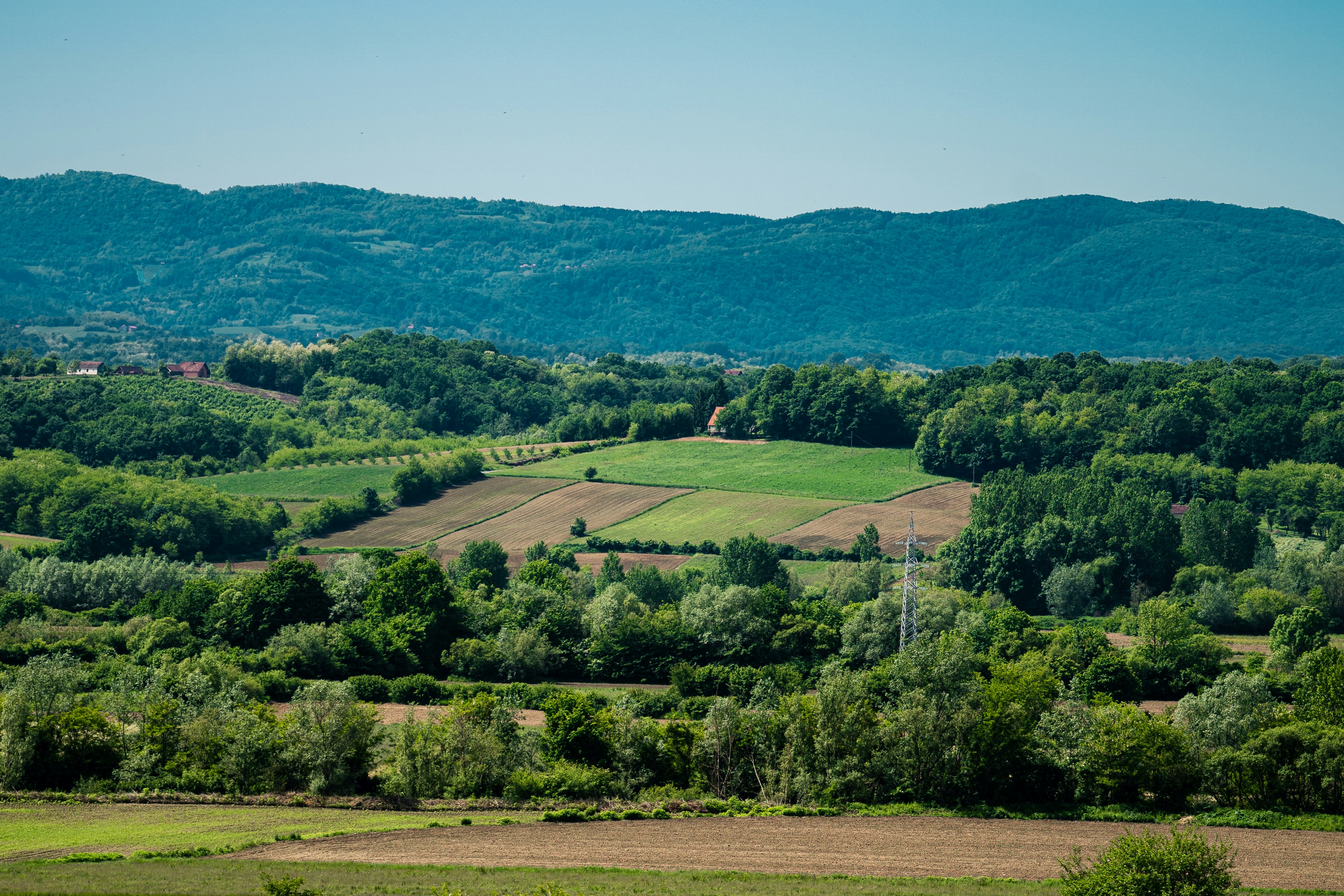 Photo by thestefankostic