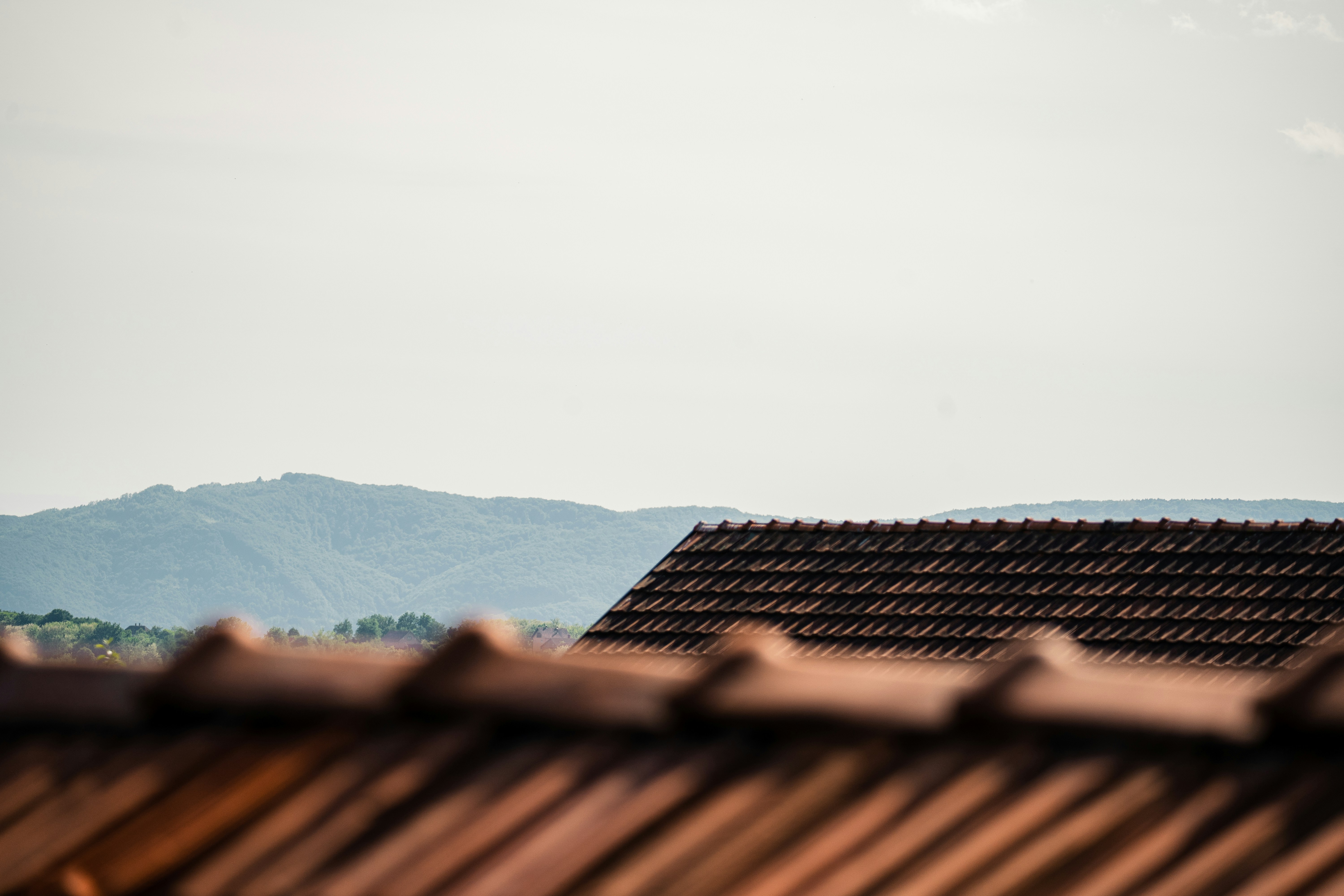 Photo by thestefankostic