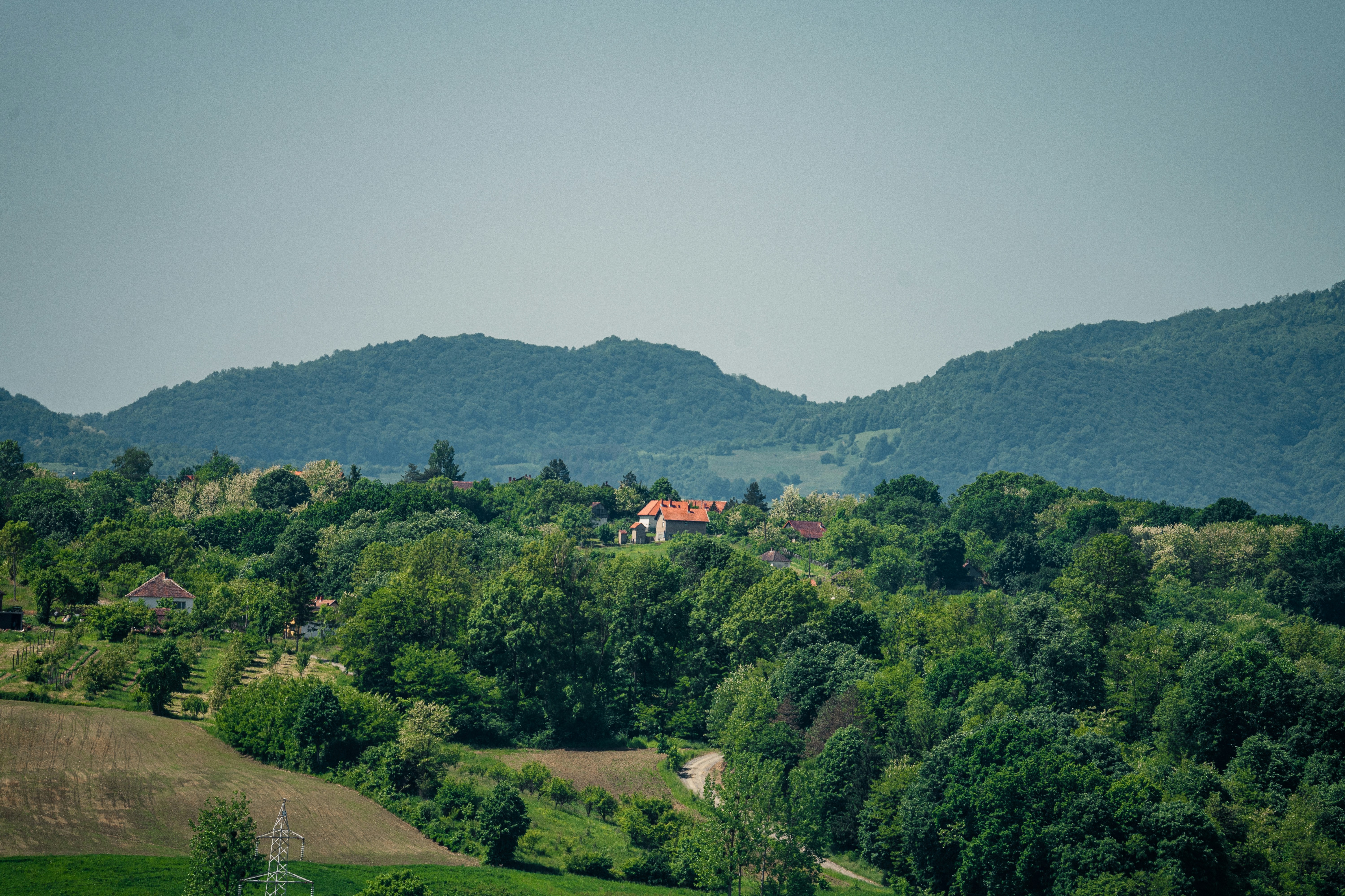 Photo by thestefankostic