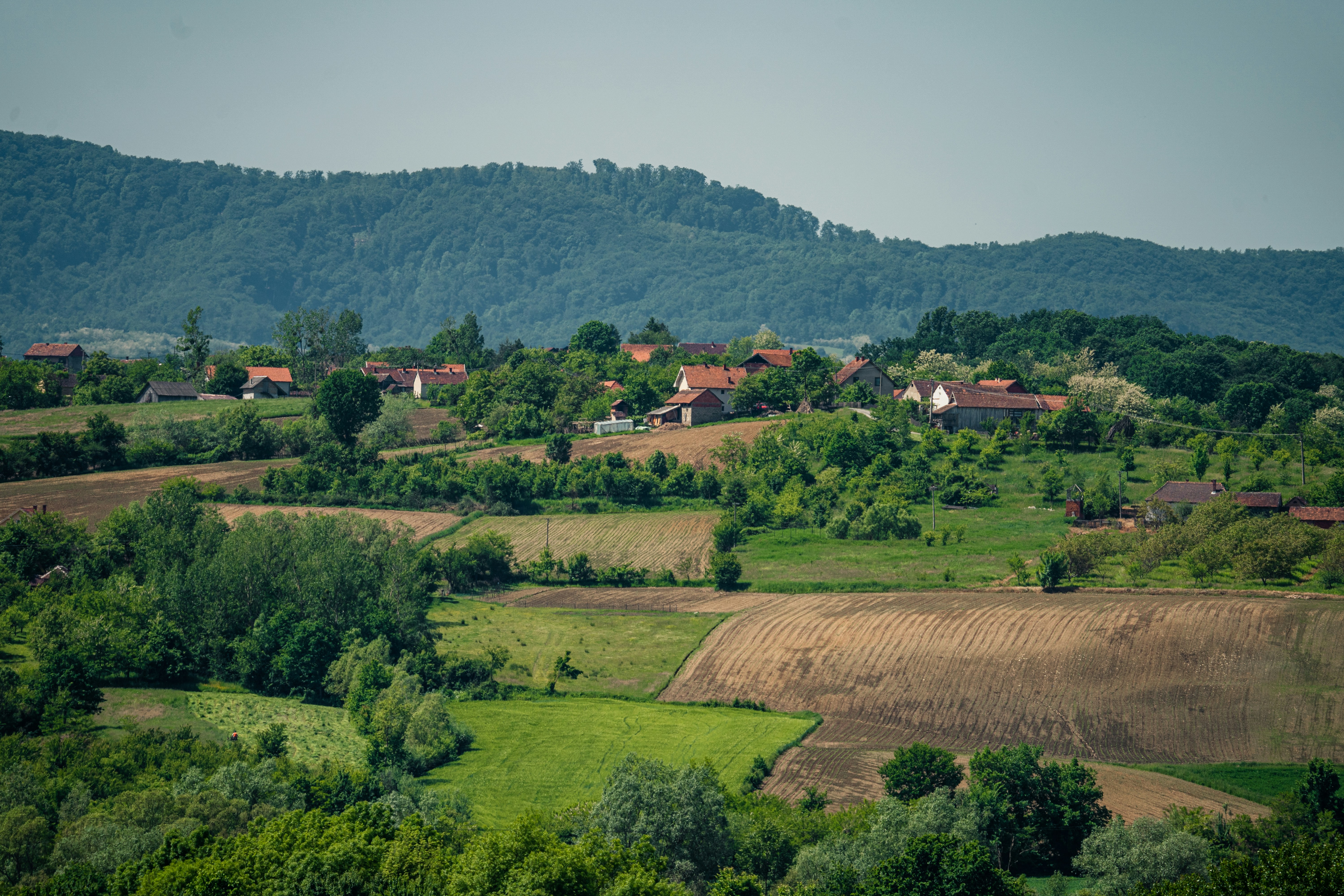 Photo by thestefankostic