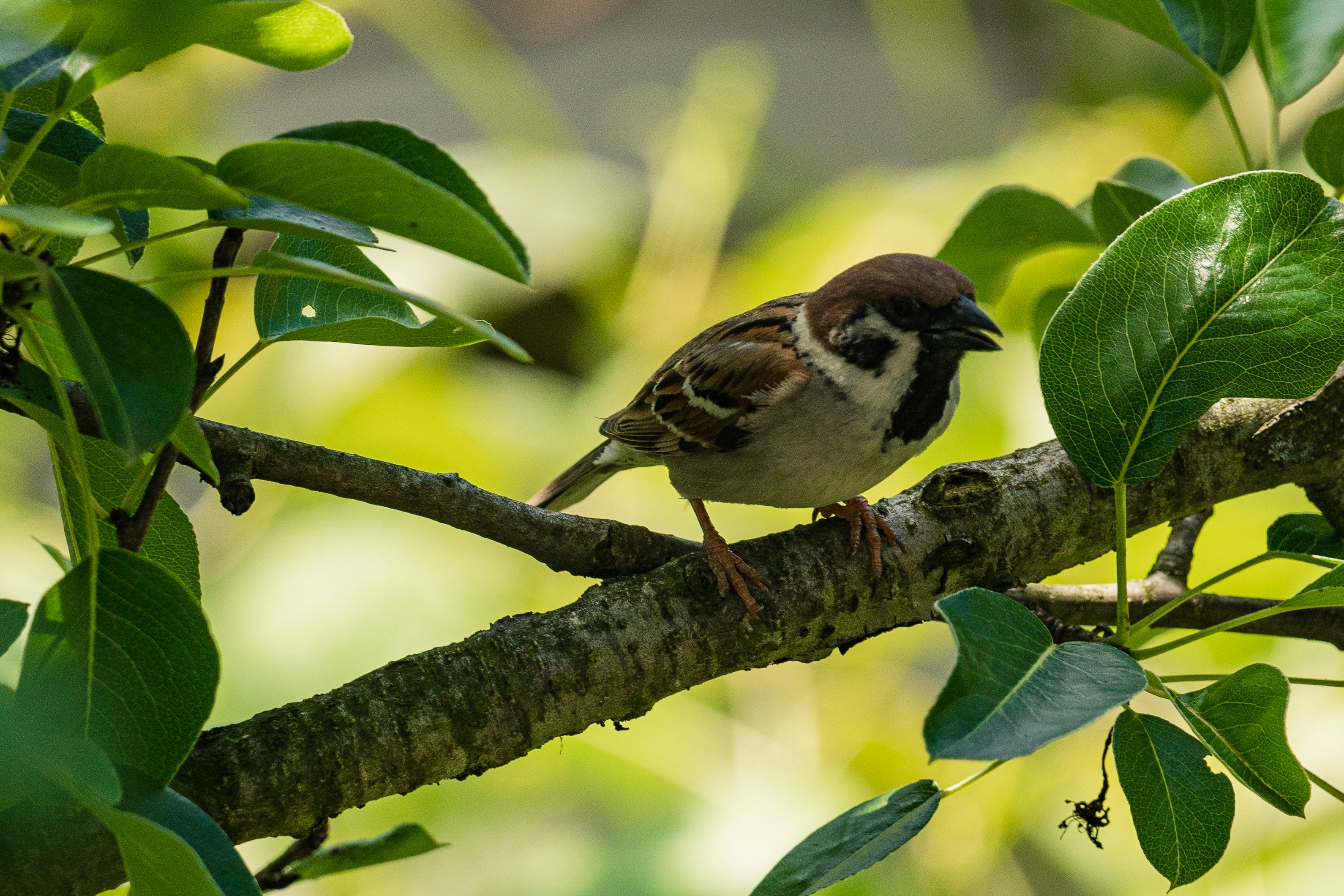 Photo by thestefankostic