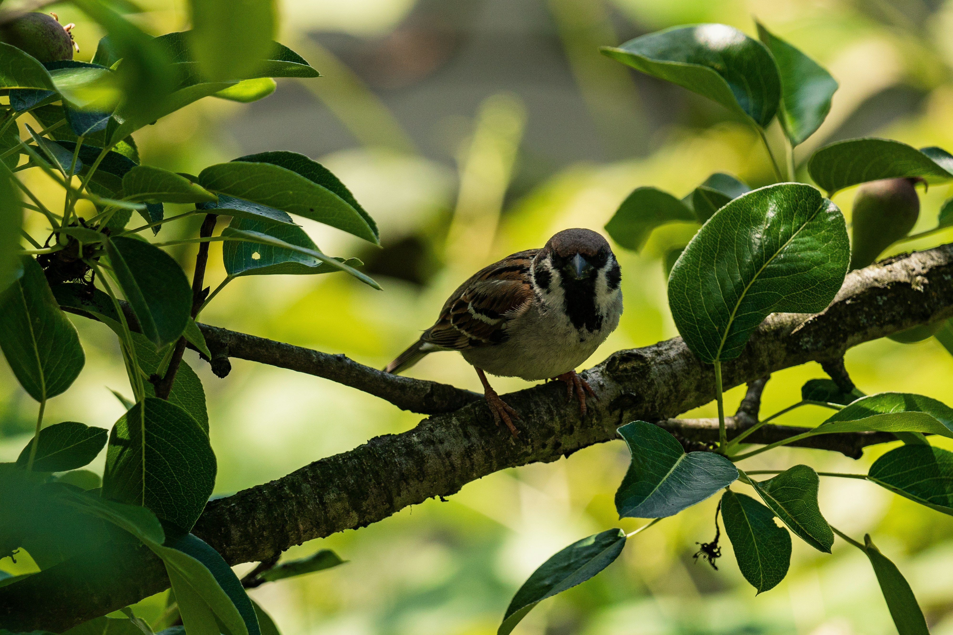 Photo by thestefankostic