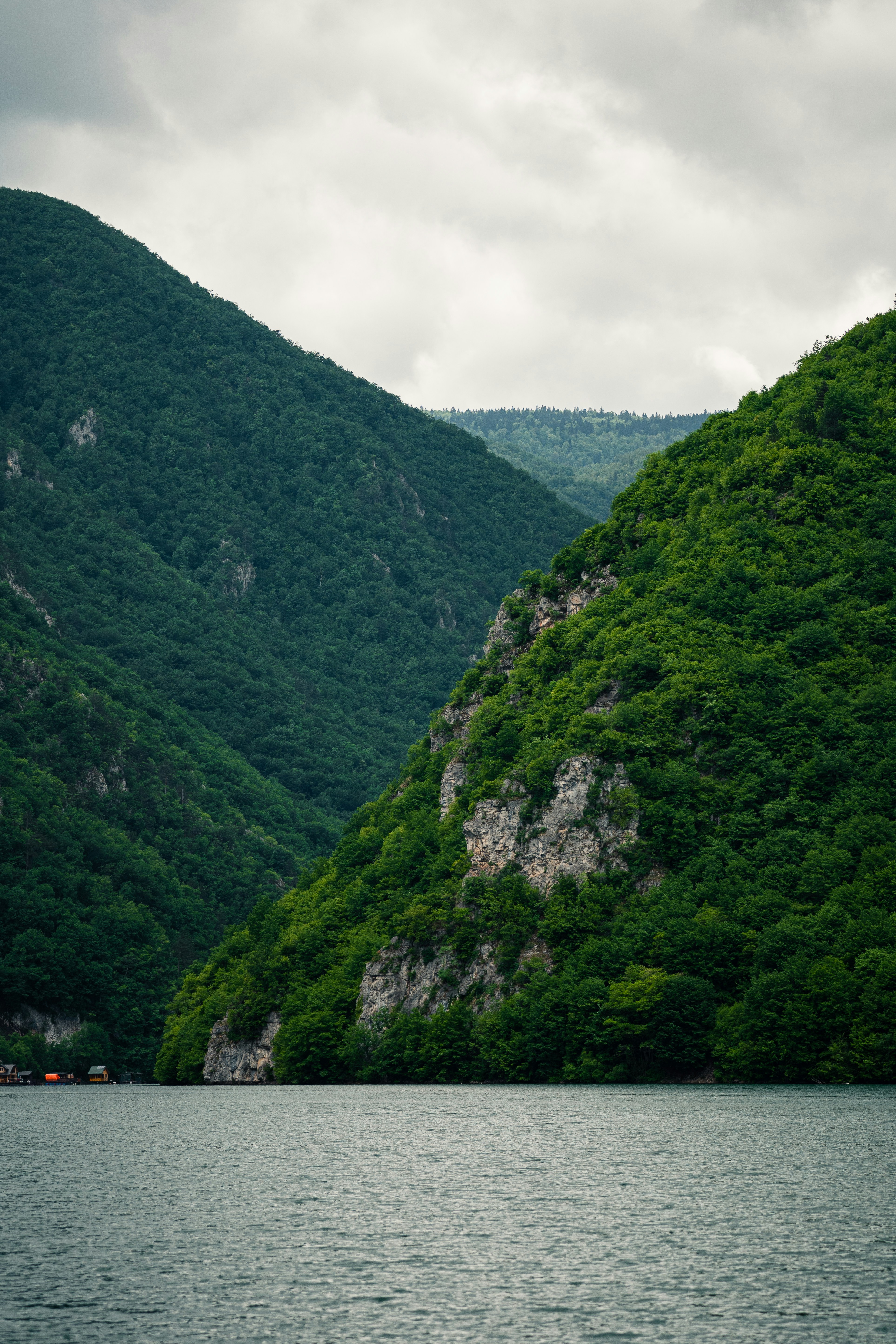 Photo by thestefankostic