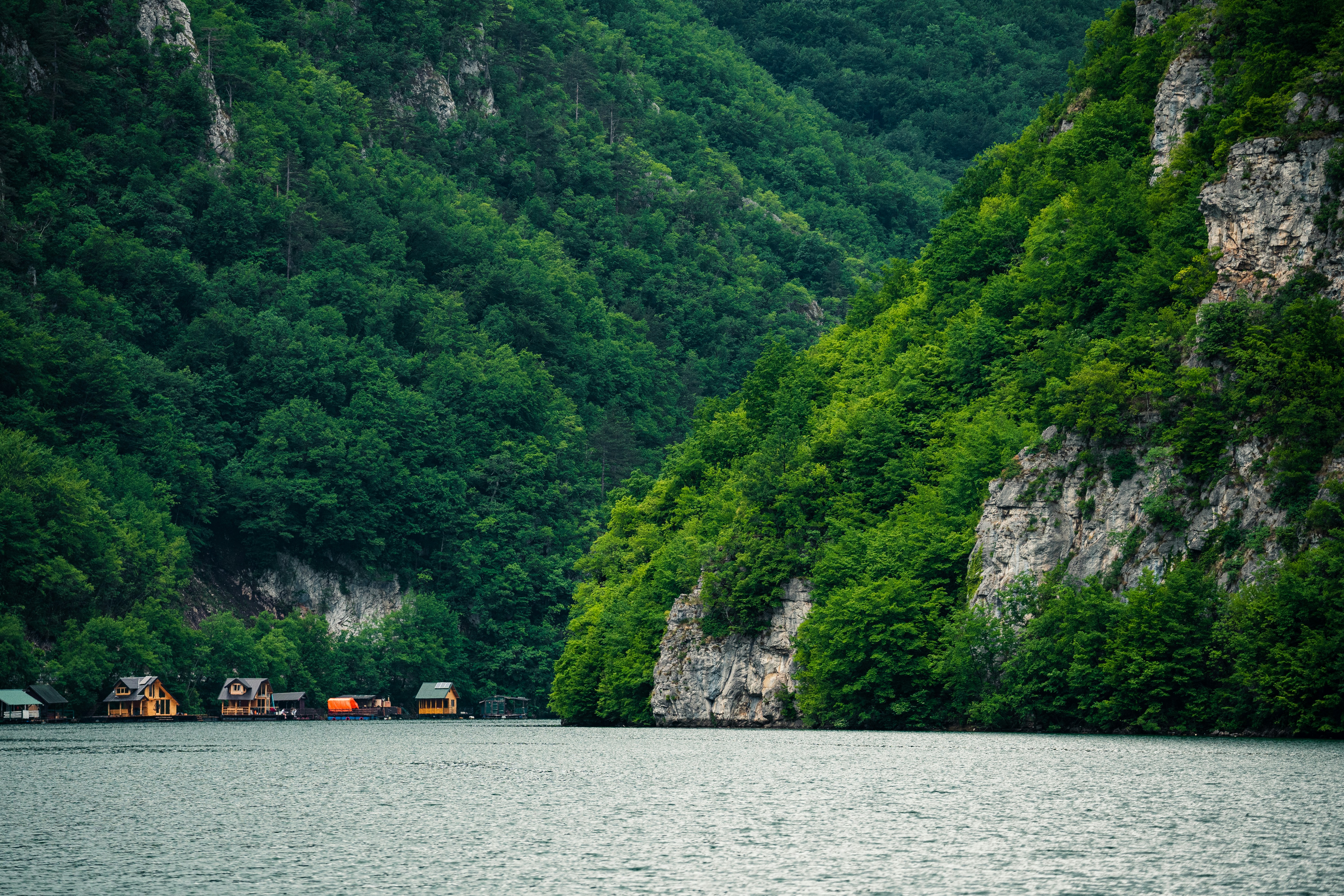 Photo by thestefankostic