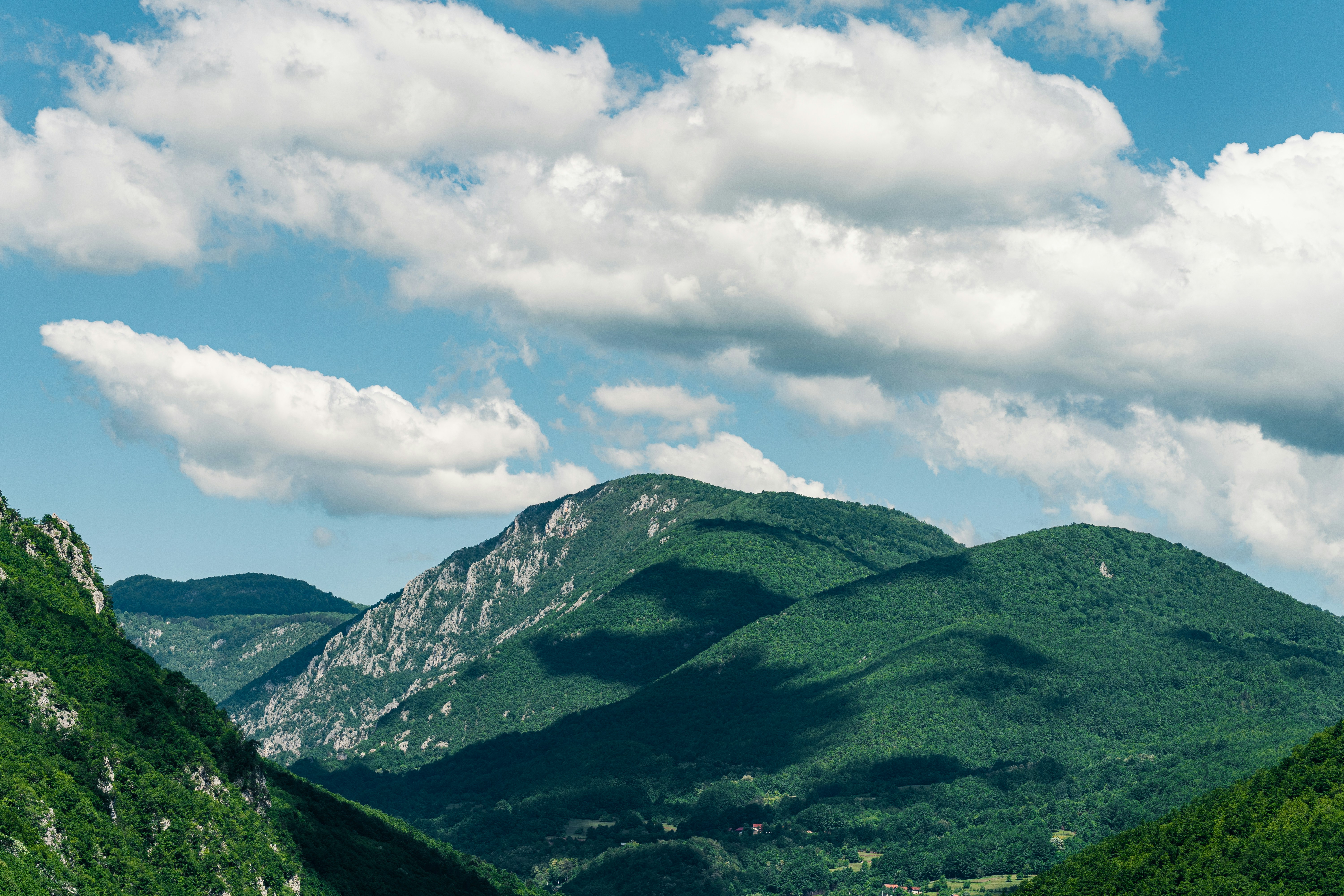 Photo by thestefankostic