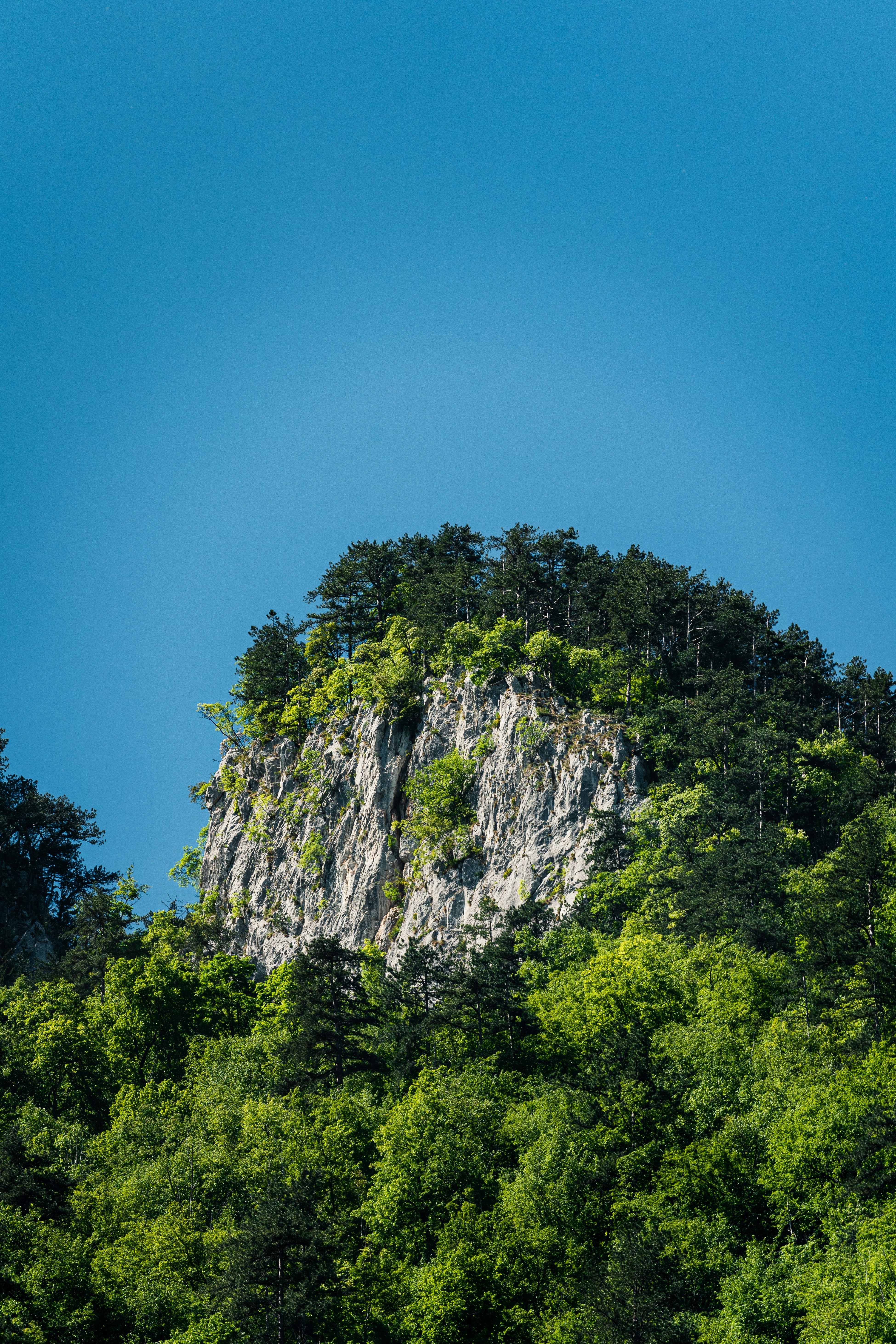 Photo by thestefankostic