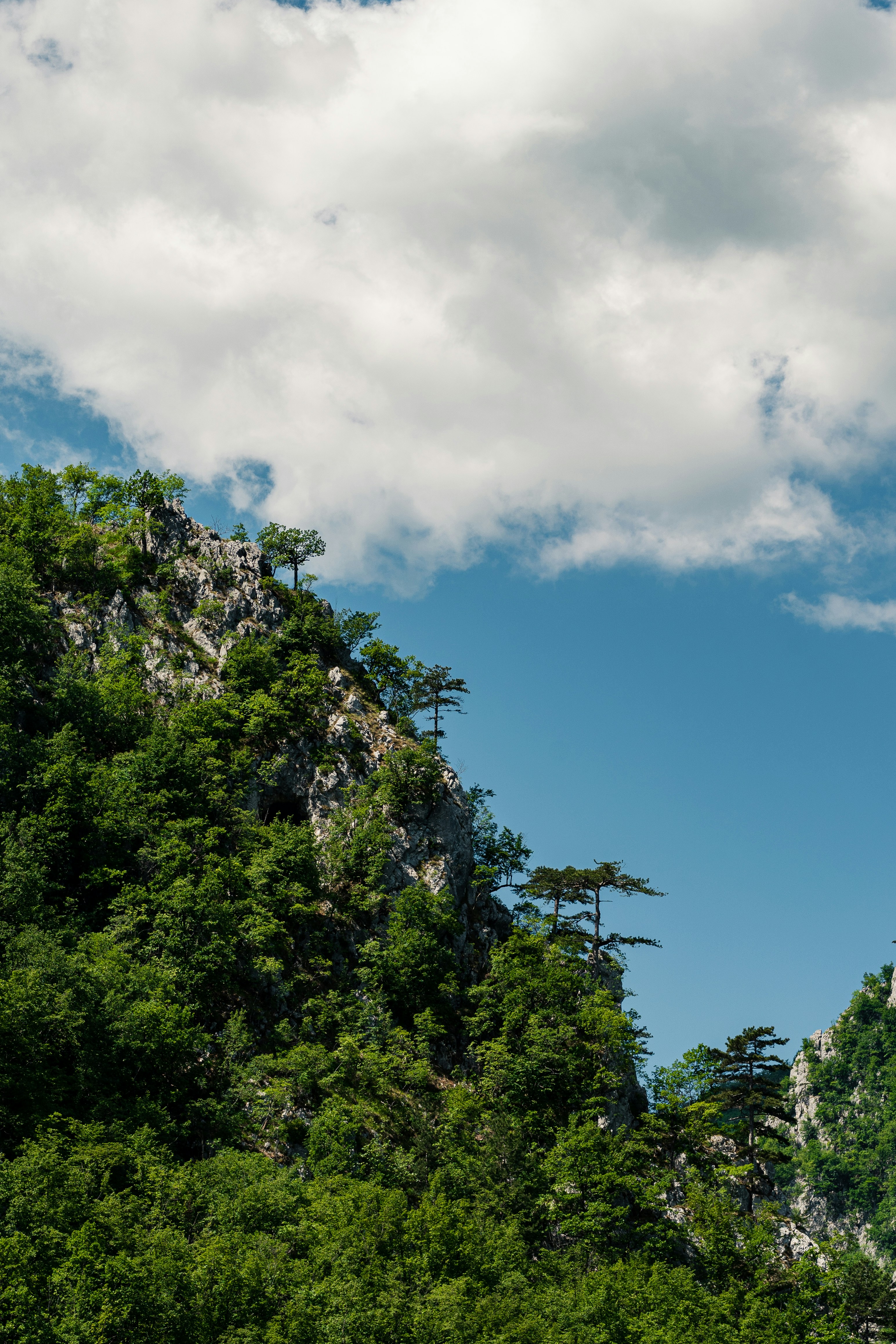 Photo by thestefankostic