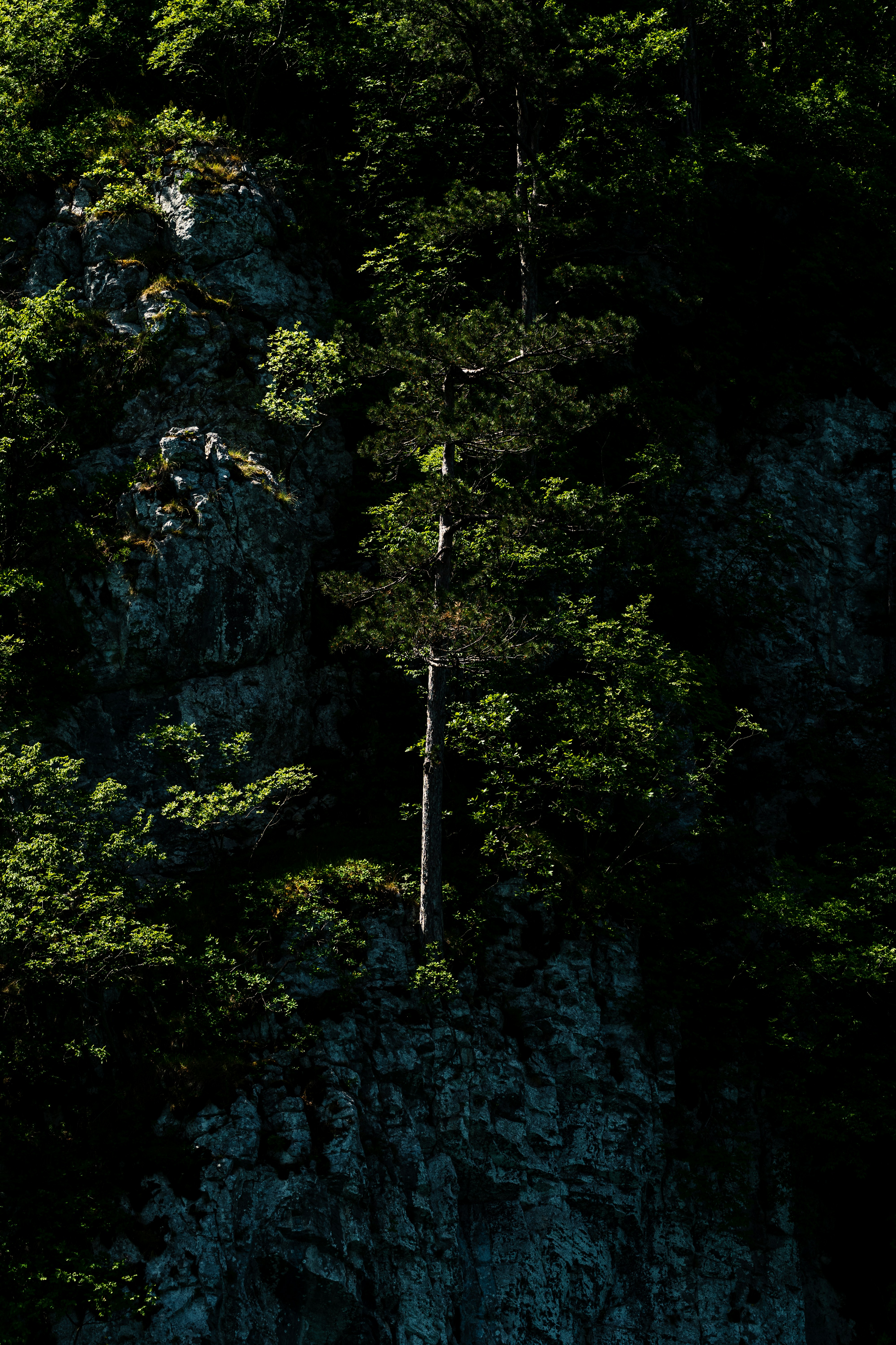 Photo by thestefankostic