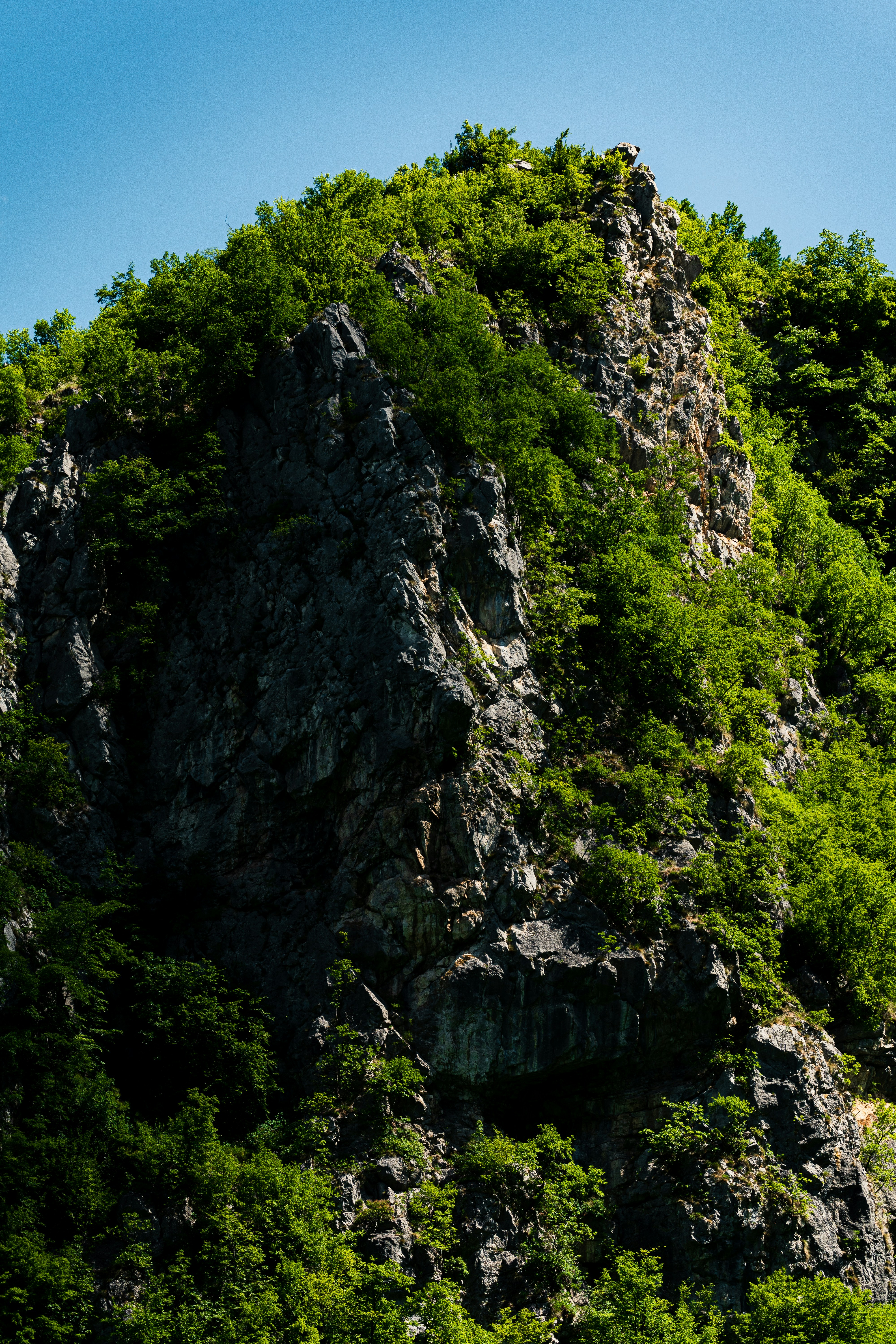 Photo by thestefankostic