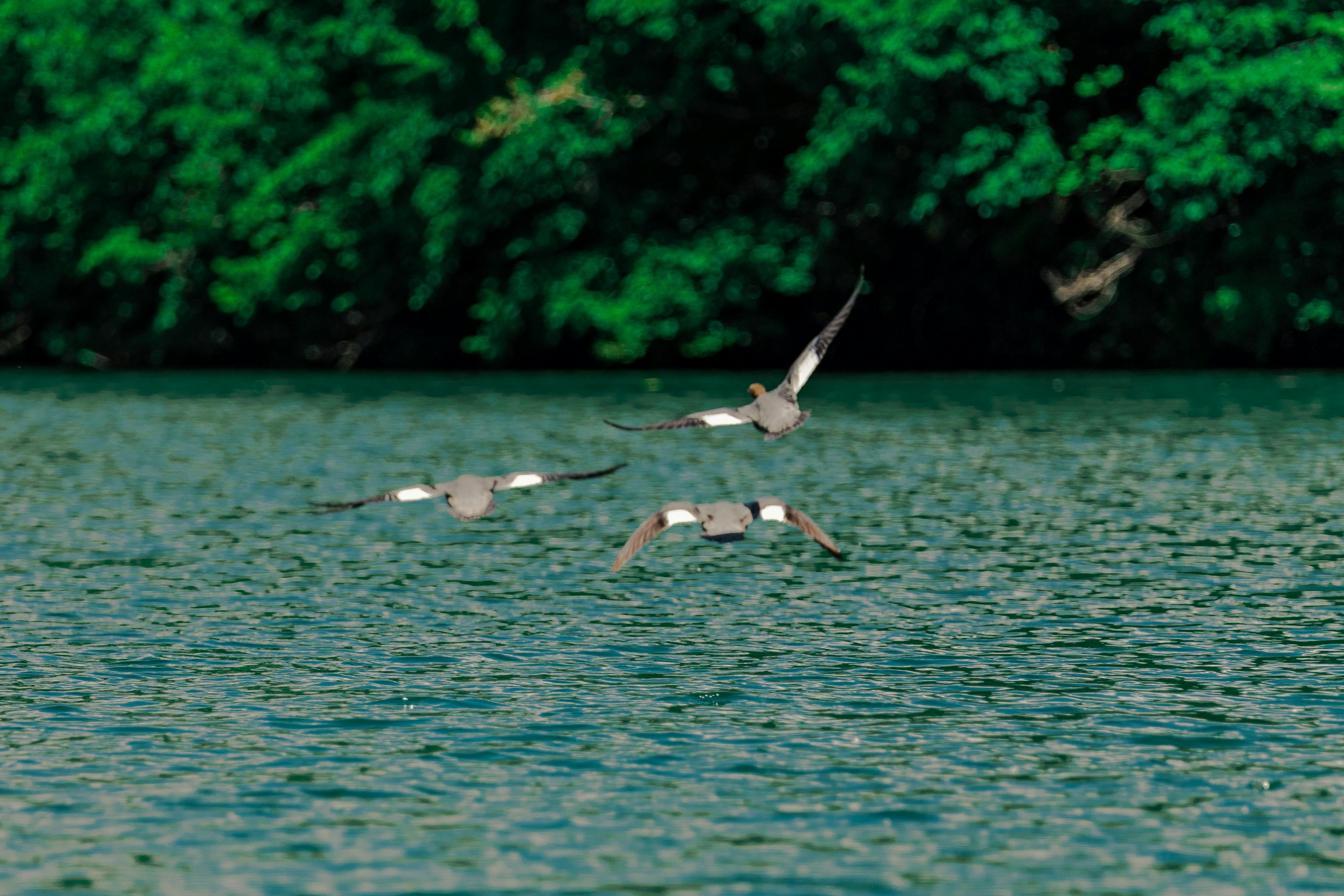 Photo by thestefankostic