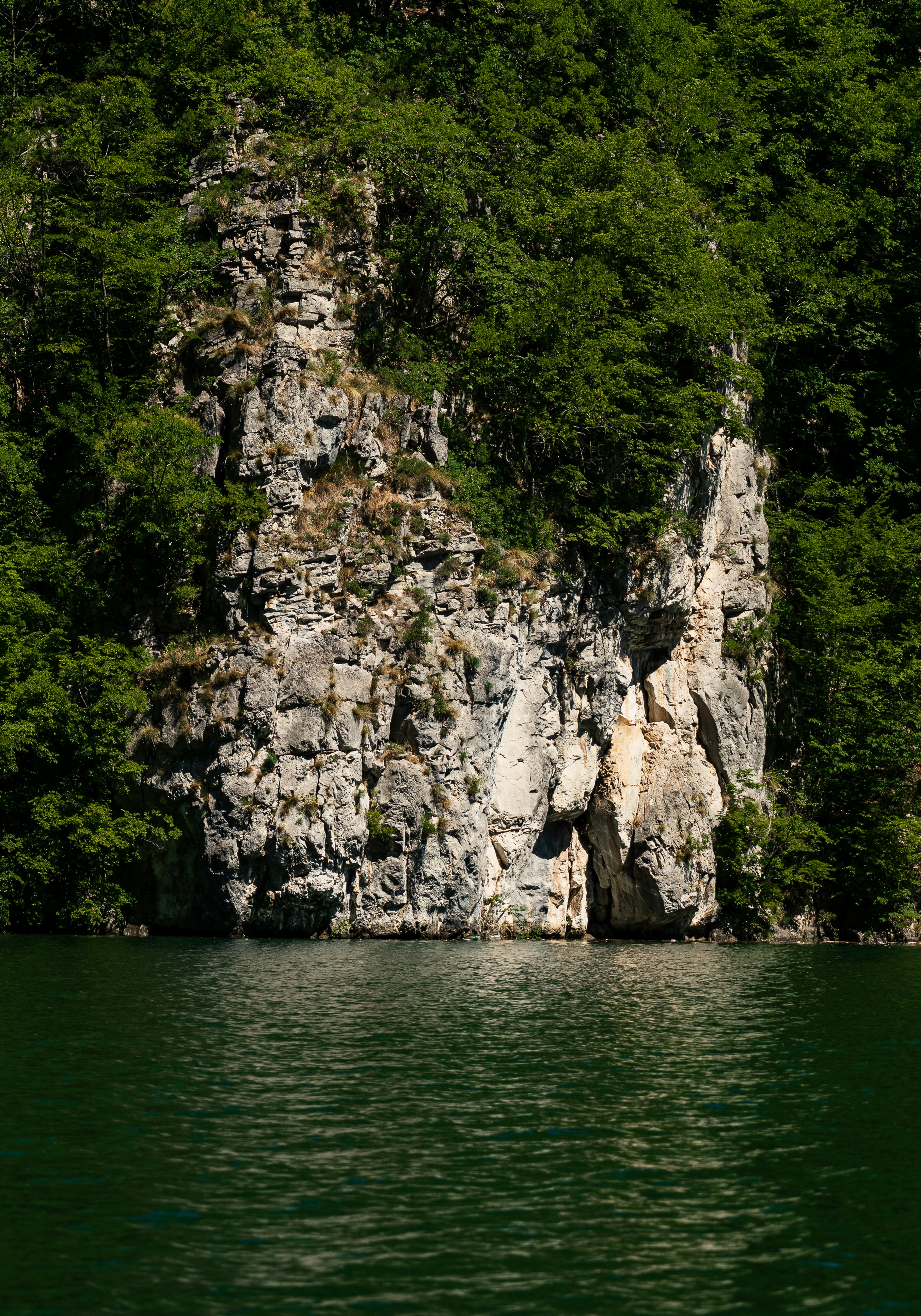 Photo by thestefankostic