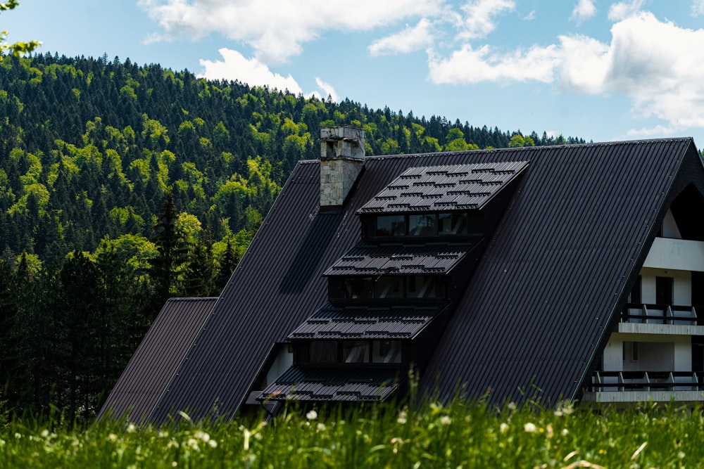 black wooden house on green grass field during daytime