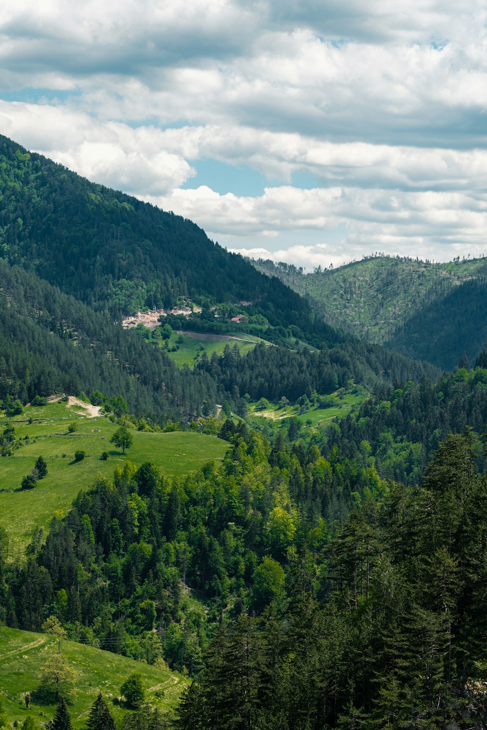 green trees on mountain under white clouds during daytime