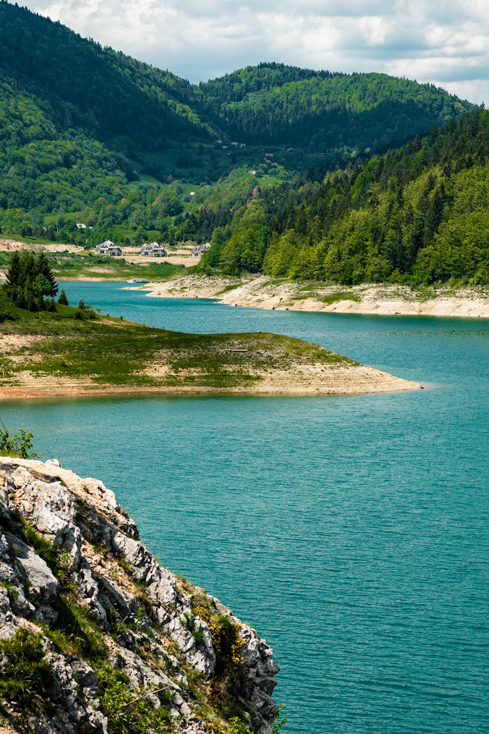 green trees near body of water during daytime