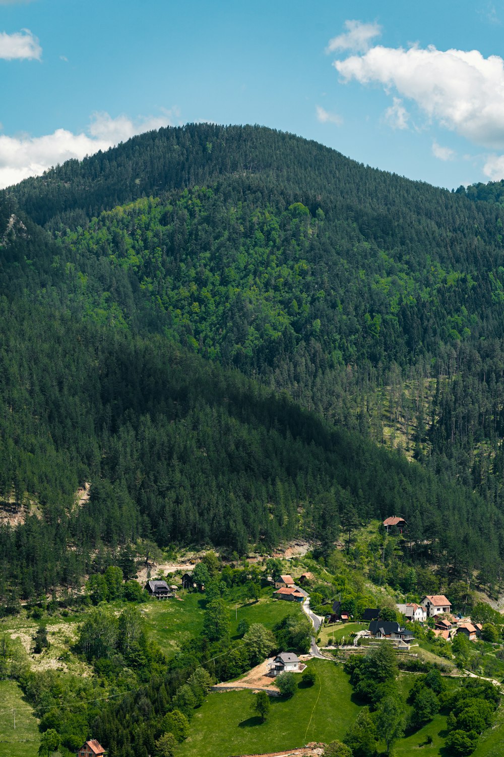 alberi verdi sulla montagna durante il giorno