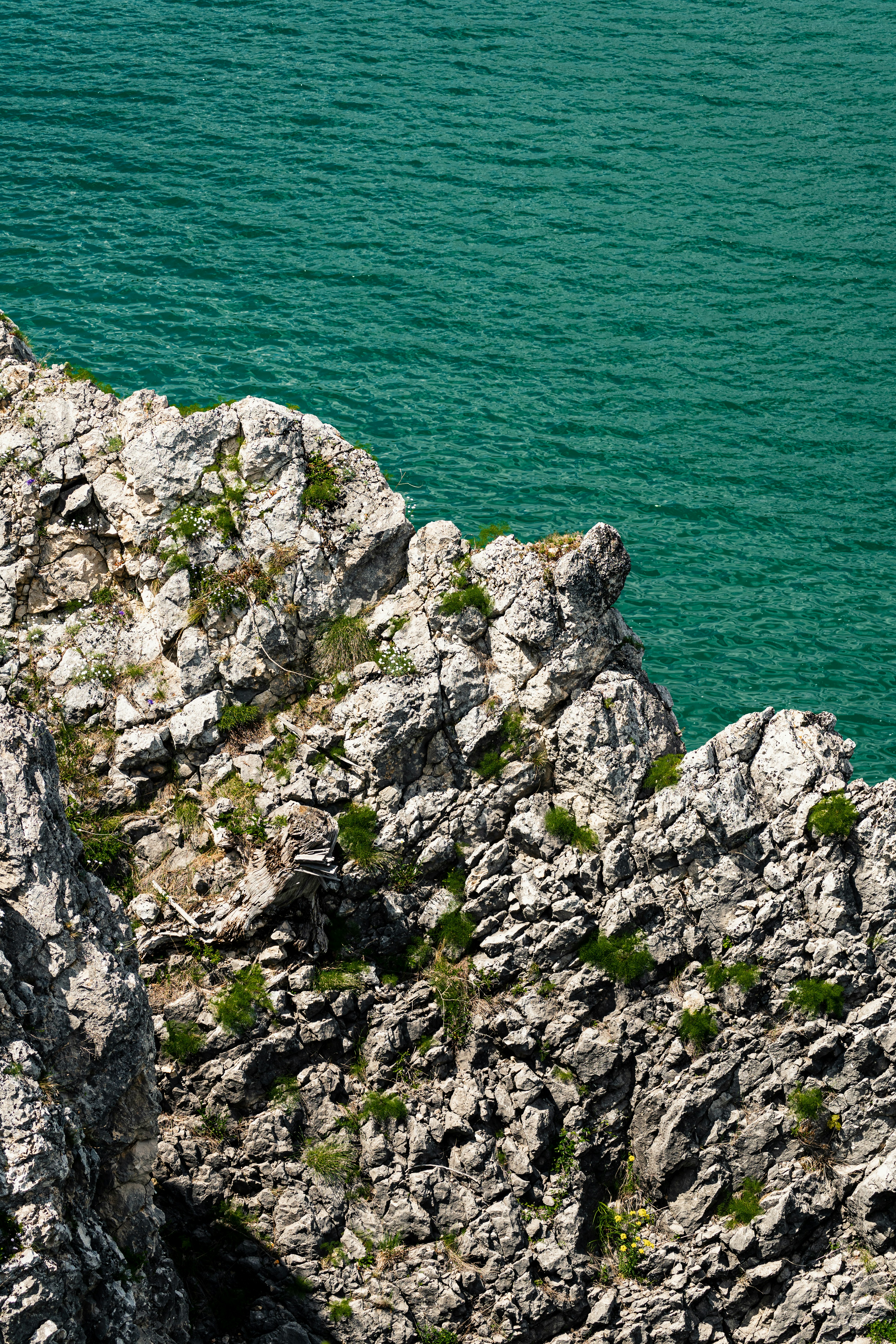 Photo by thestefankostic