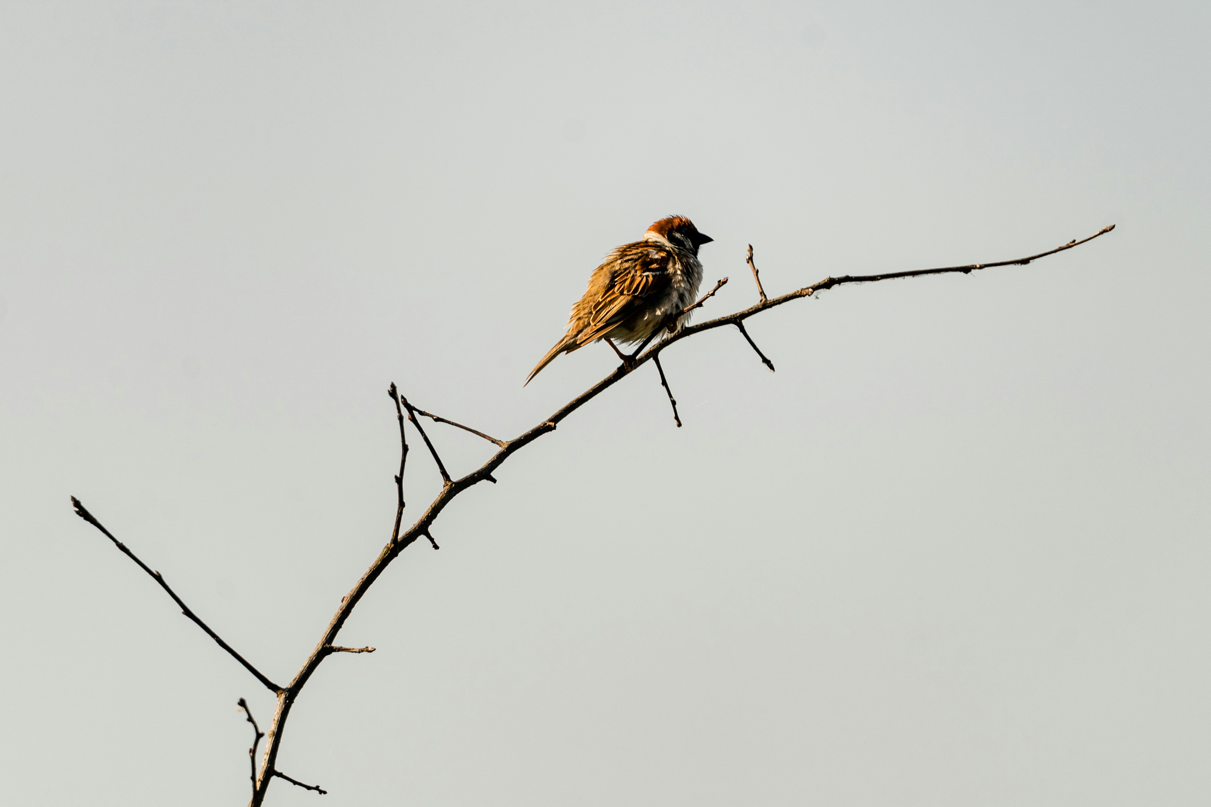 Photo by thestefankostic