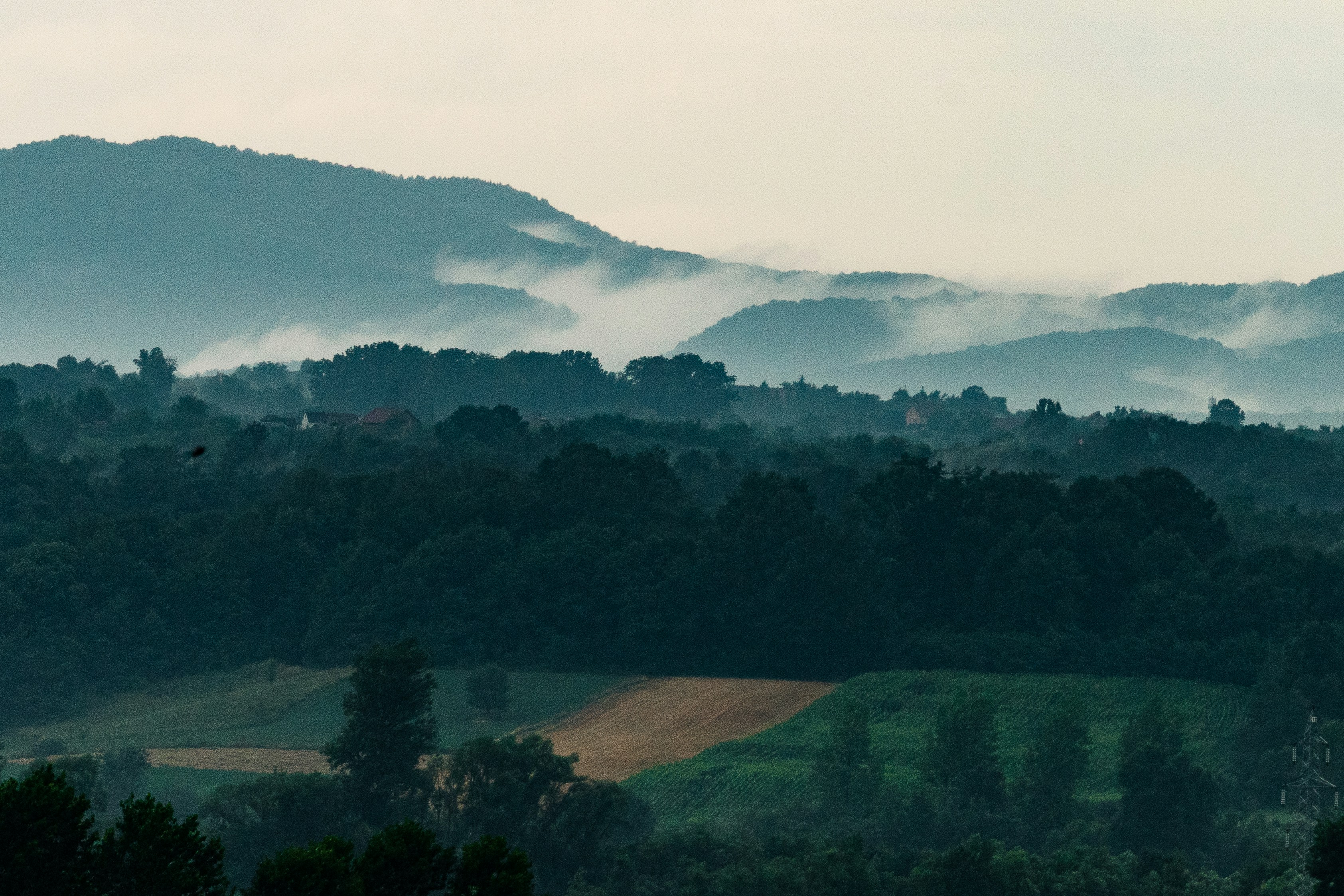 Photo by thestefankostic