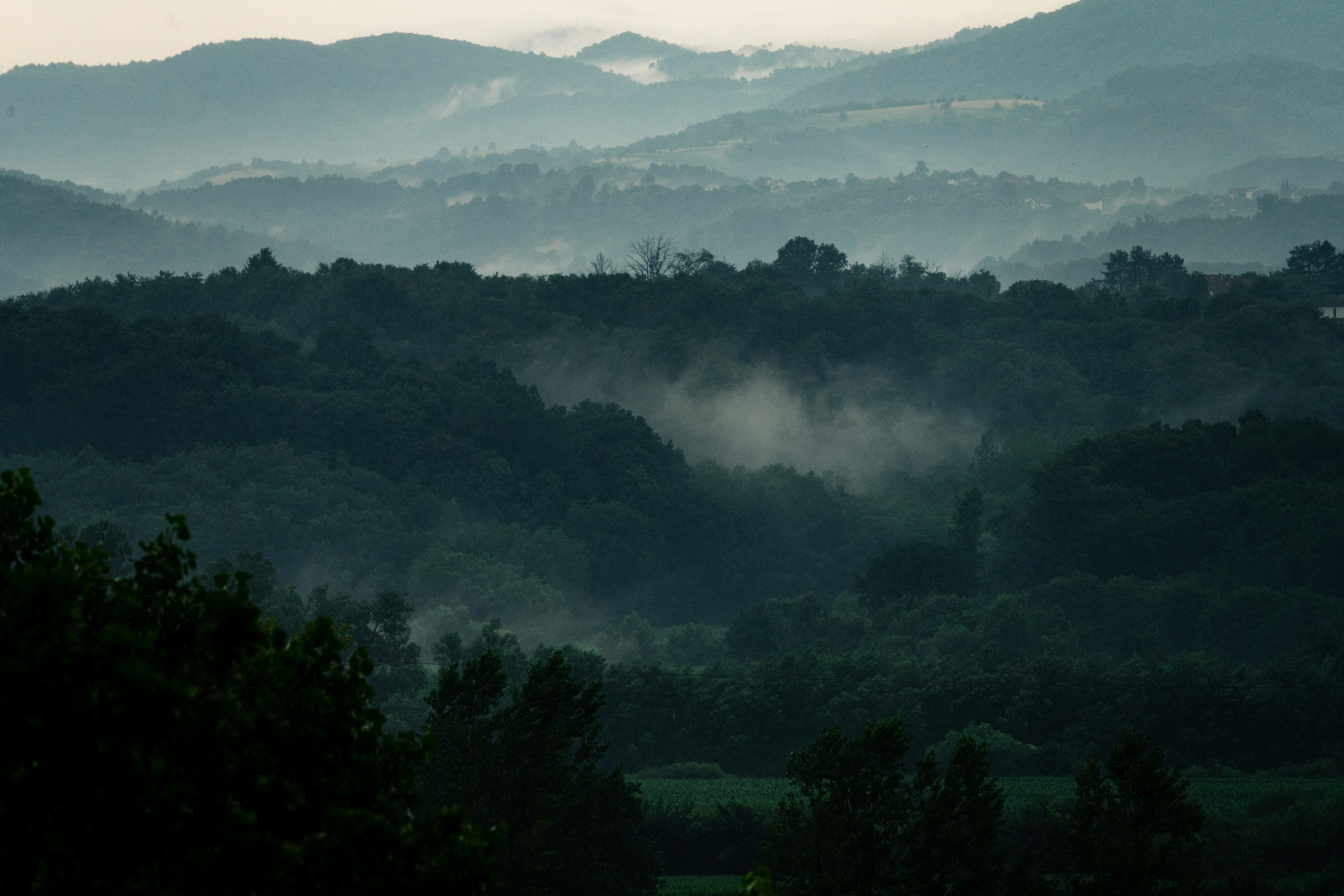 Photo by thestefankostic