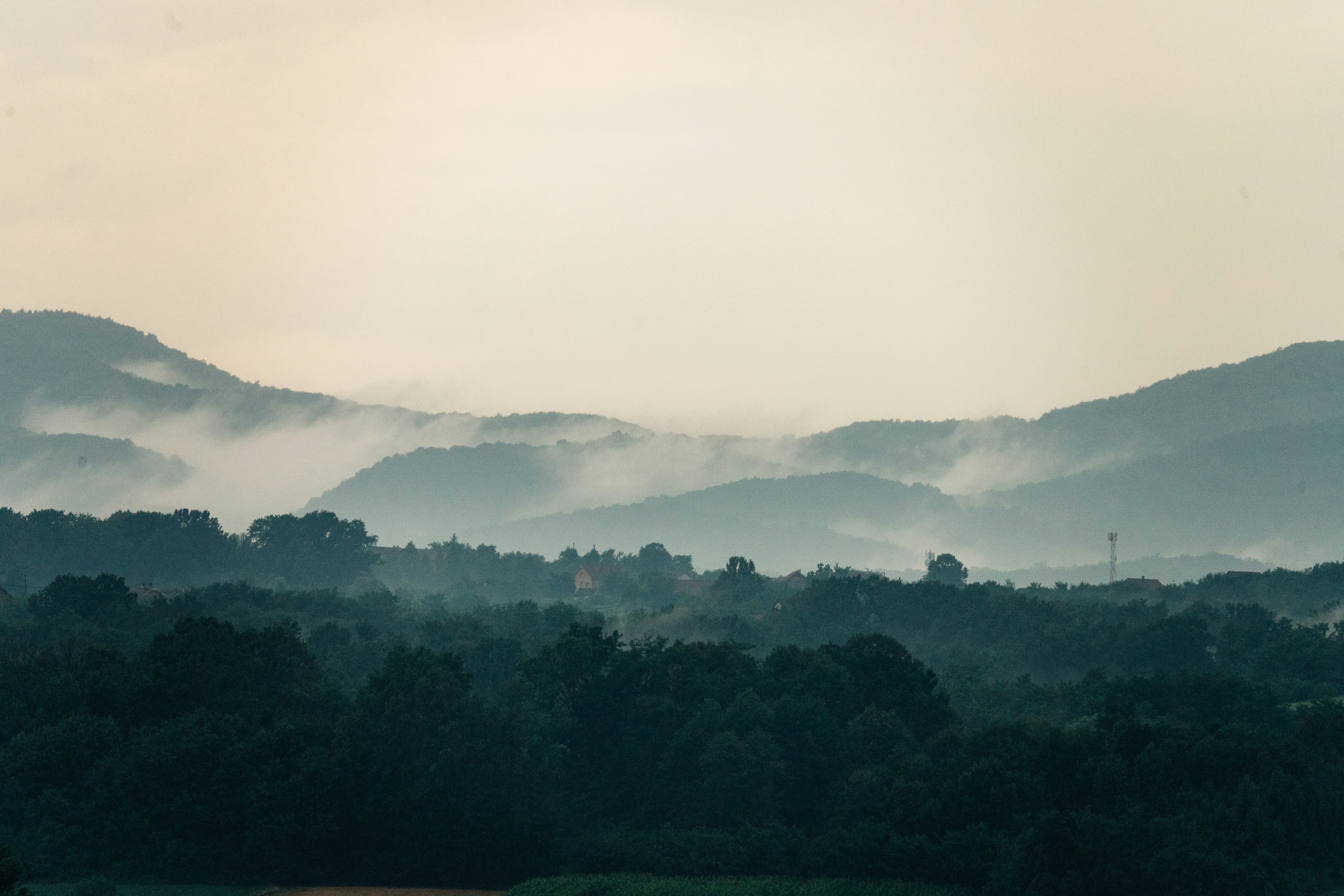 Photo by thestefankostic