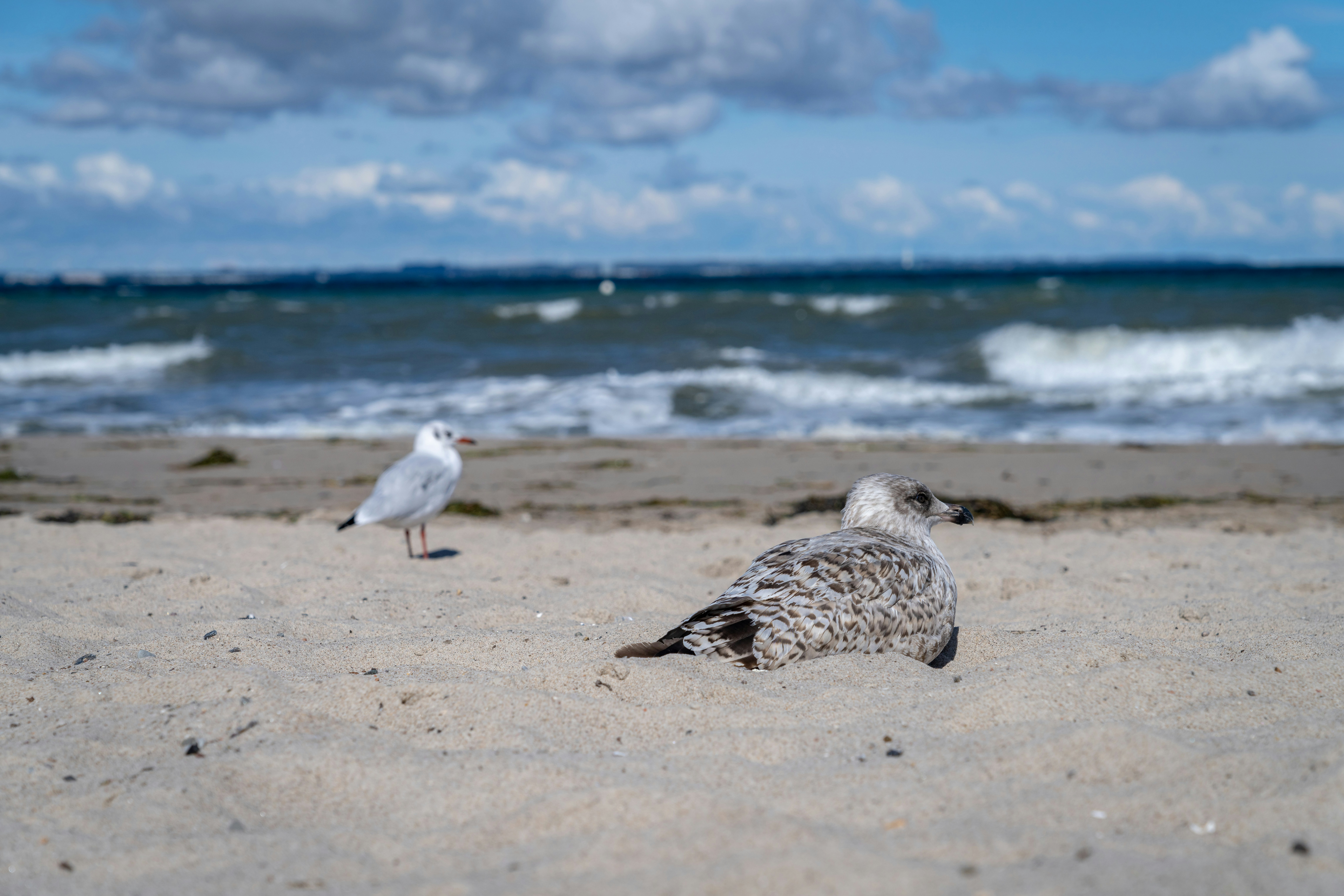 Photo by picture_scape