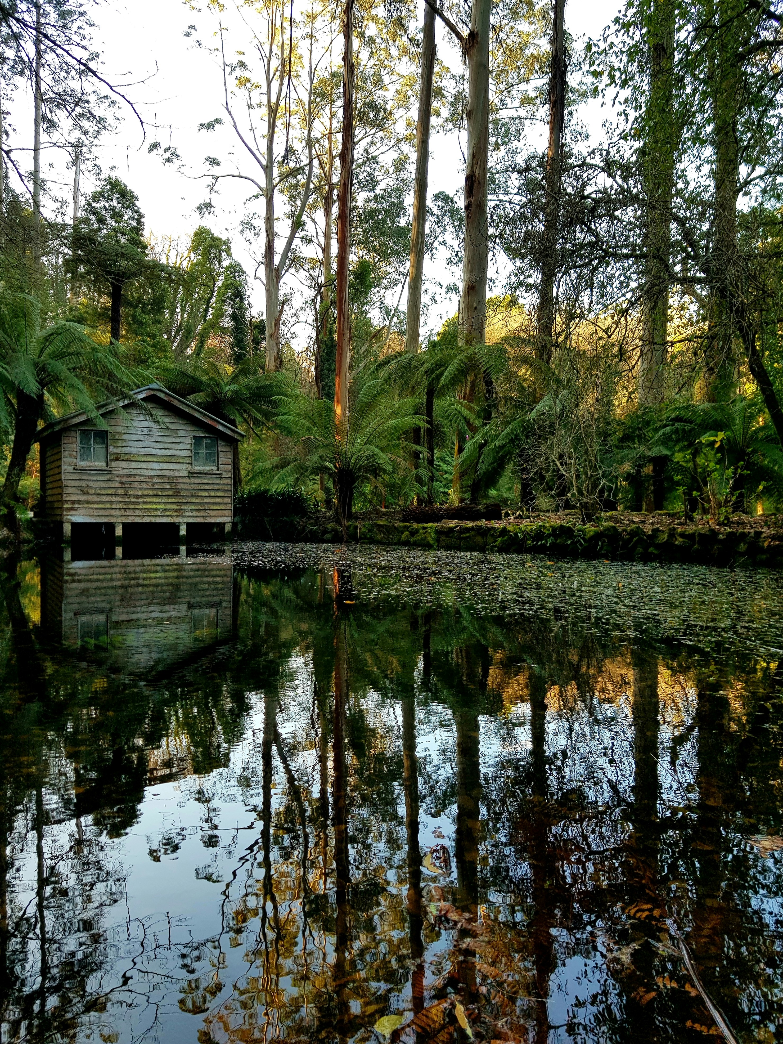 Photo by olivia_hibbins