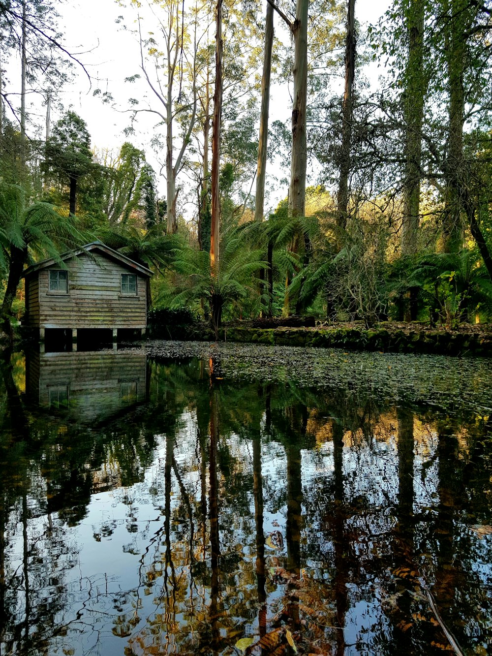 Maison en bois marron sur le lac