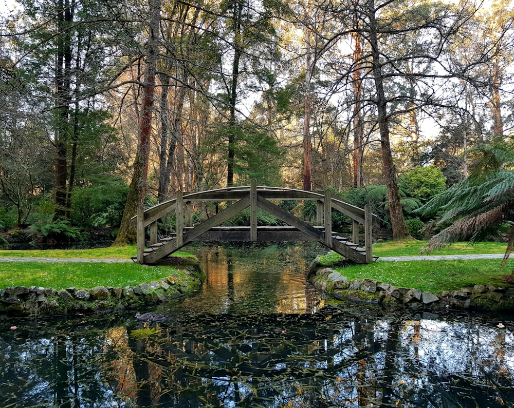 Puente de madera marrón sobre el río