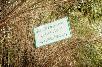 A signboard with text written in Urdu is placed in a dense bamboo forest. The sign is slightly tilted and surrounded by various bamboo stalks and leaves, which create a natural and lush background.
