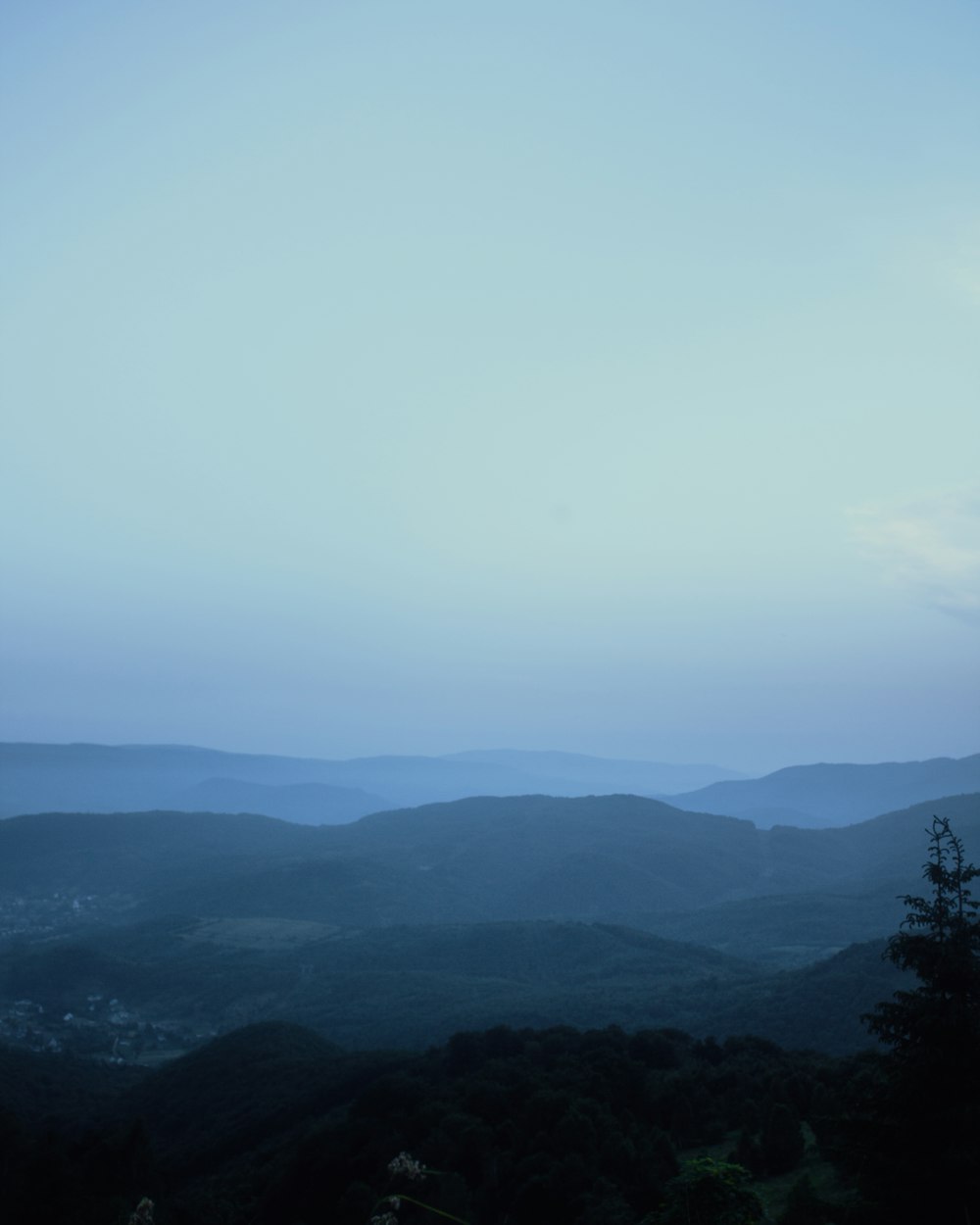 green trees on mountain during daytime