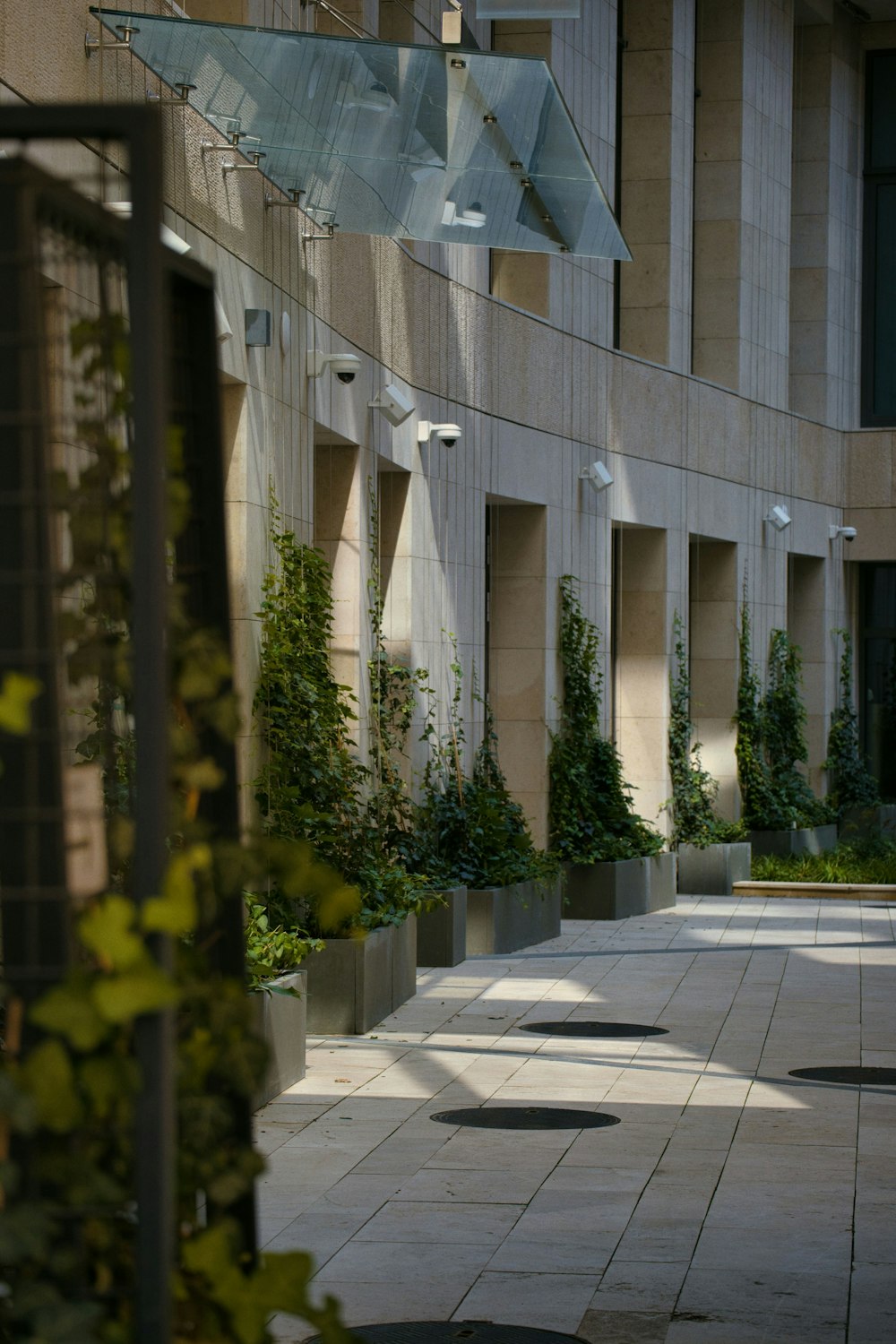 green trees near white concrete building during daytime