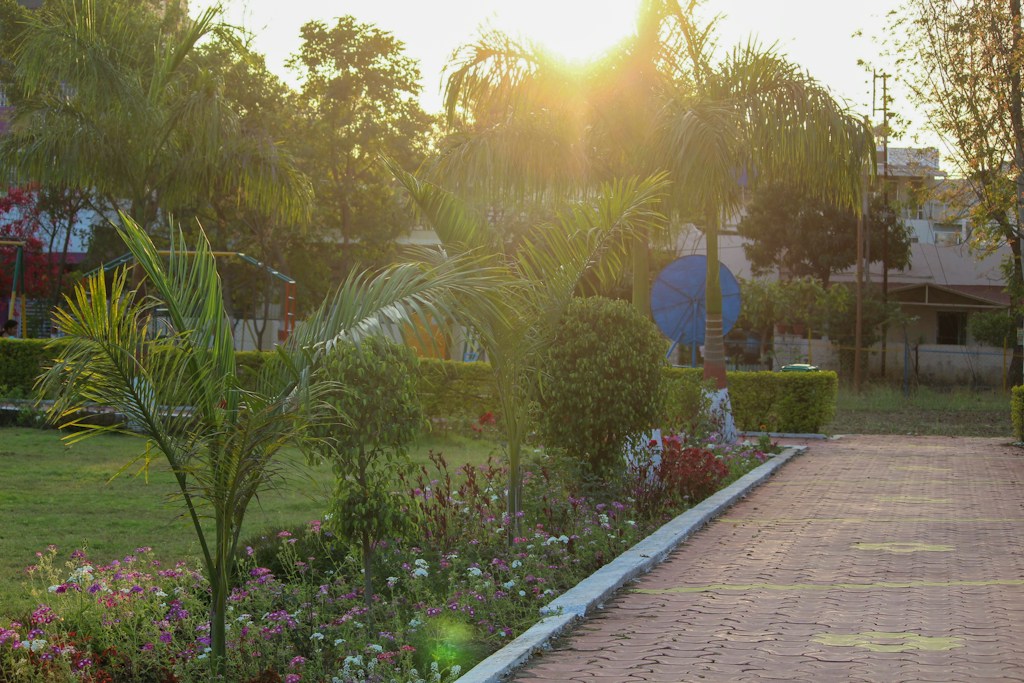 Solar Garden Light