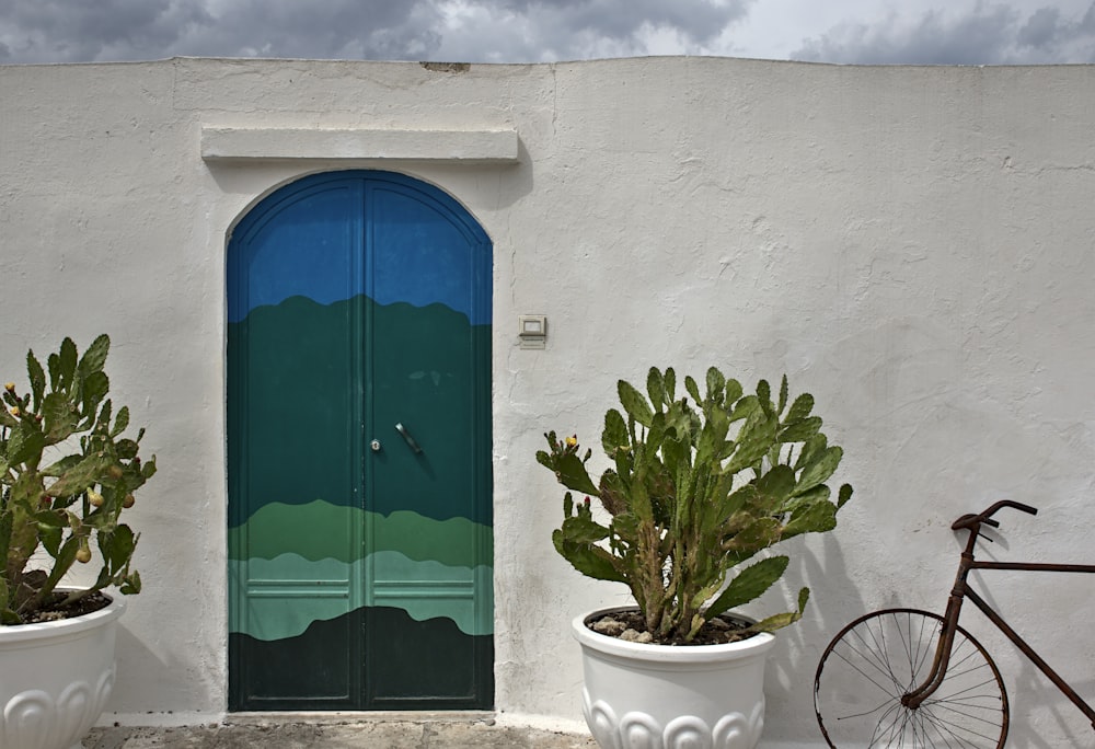 green plant on white pot beside blue wooden door