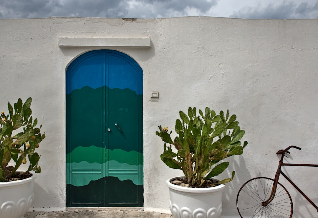green plant on white pot beside blue wooden door