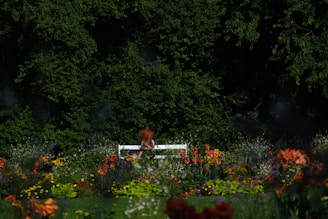 A serene garden scene with a variety of colorful flowers in full bloom. A white bench is situated amidst the vibrant flora under a dense canopy of lush green trees.