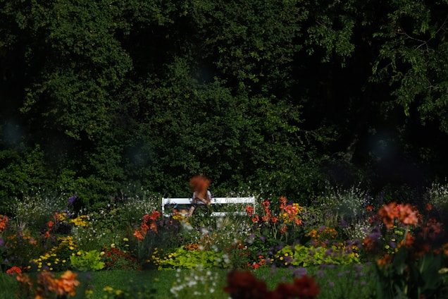 A sunlit garden bench surrounded by neatly arranged garden tools and vibrant flowers in full bloom.
