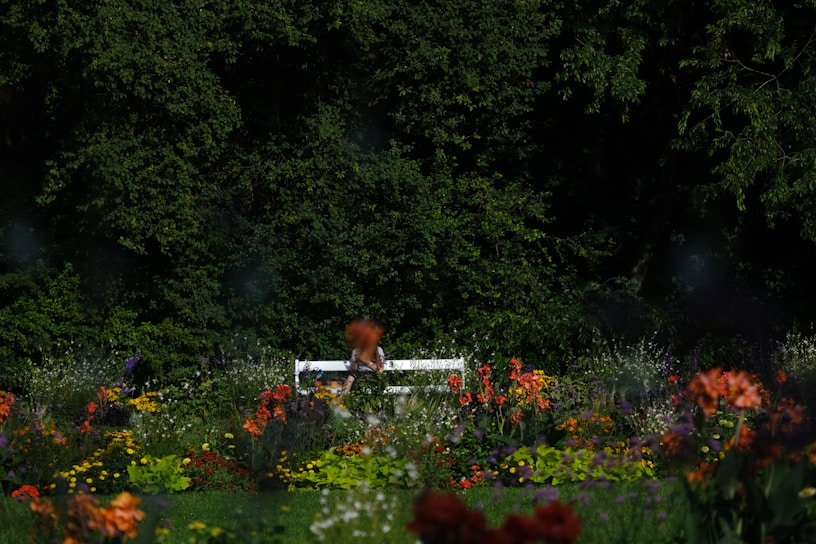 A serene garden scene with colorful flower pots and herbs.