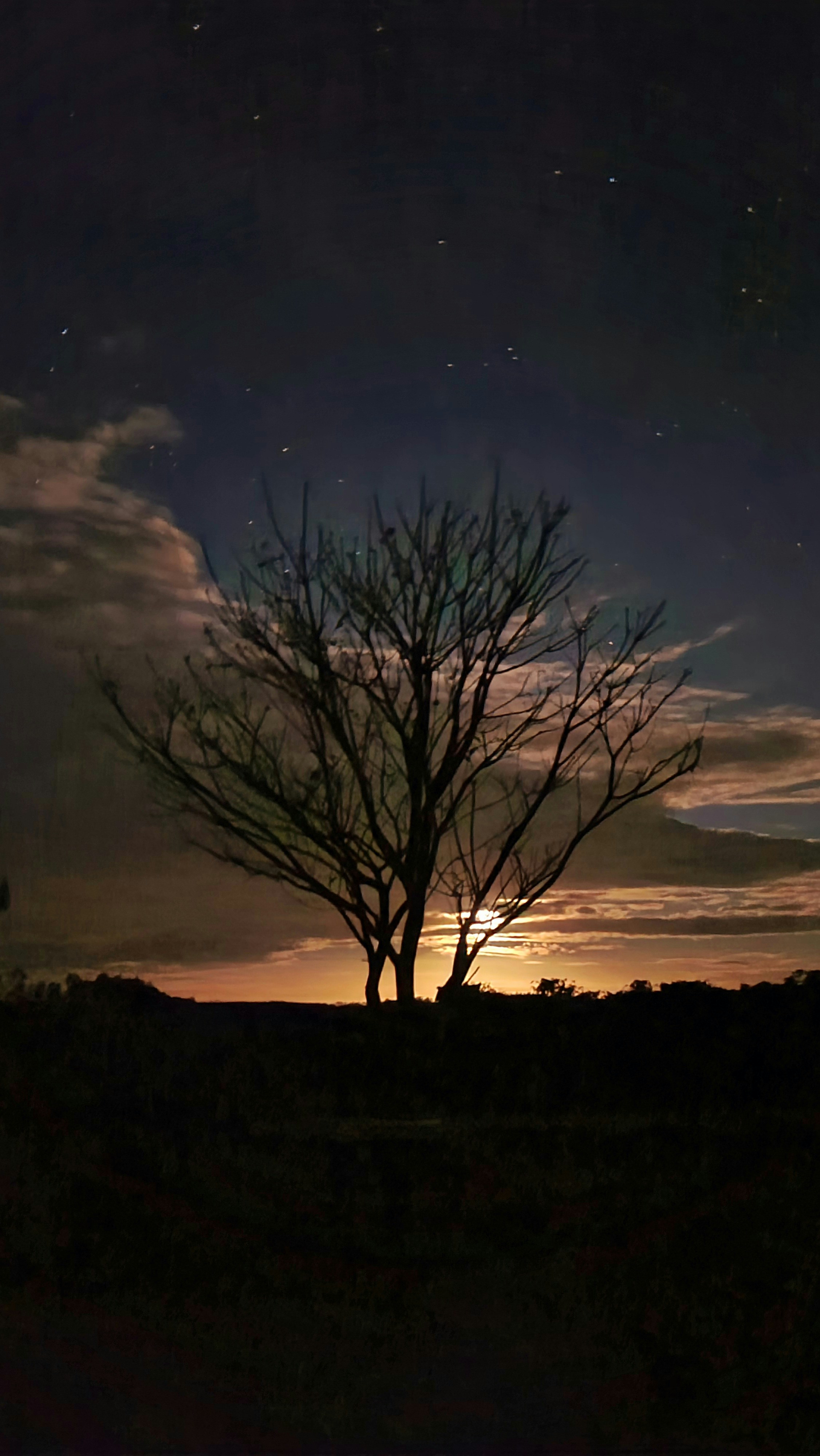 Photo by marcusdallcol