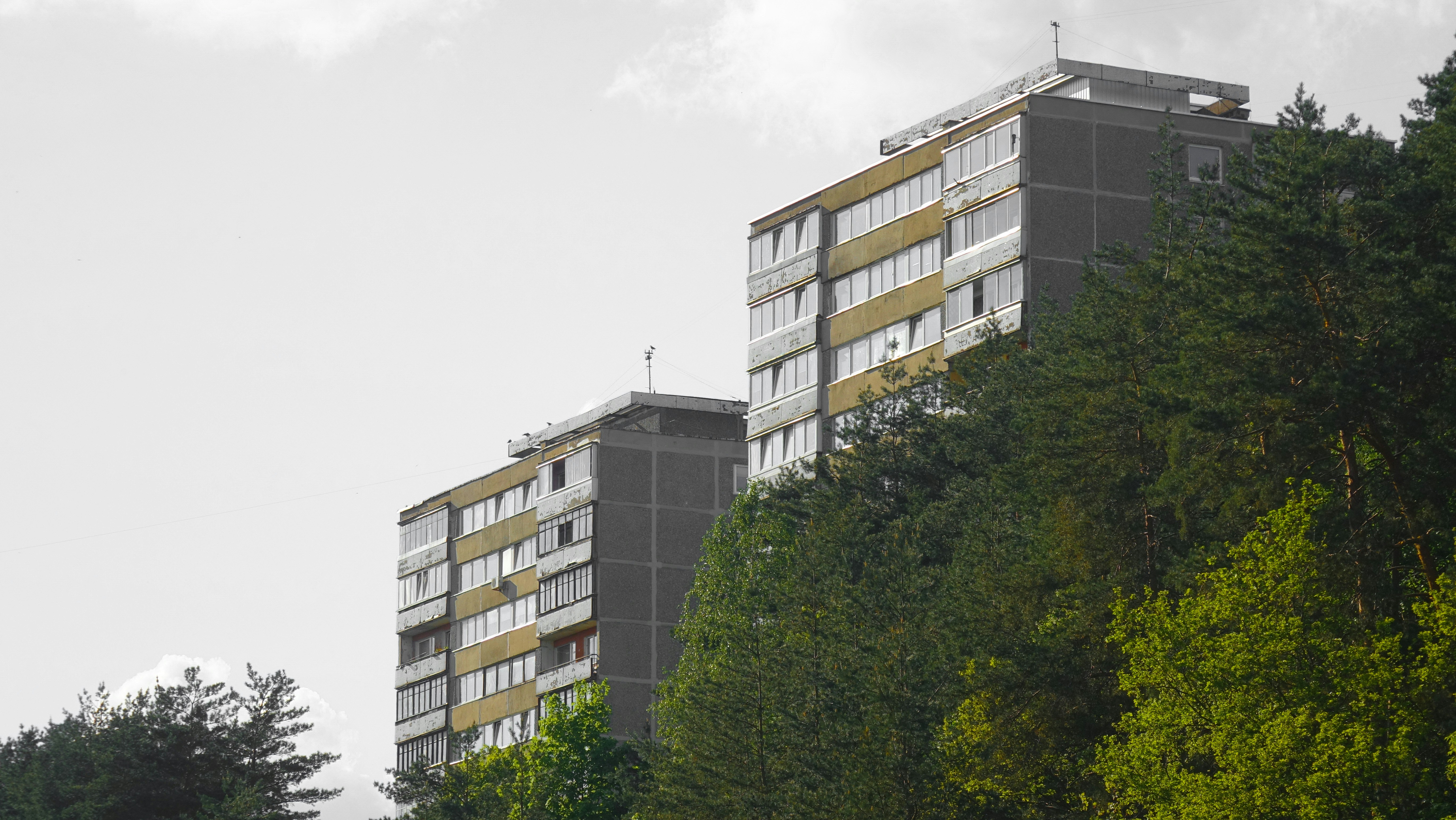 Photo by kazkurgirdetas