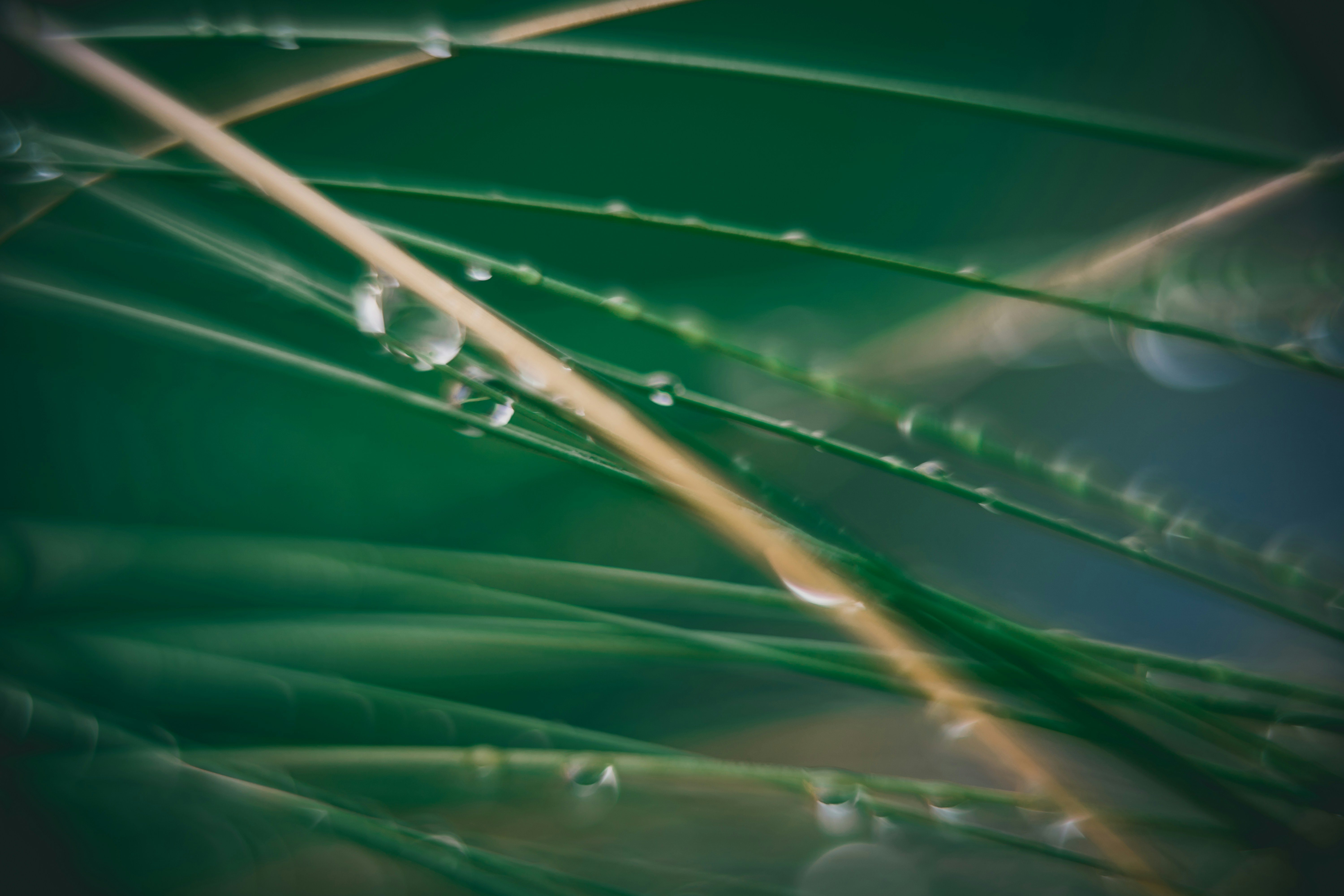 Photo by raimondklavins