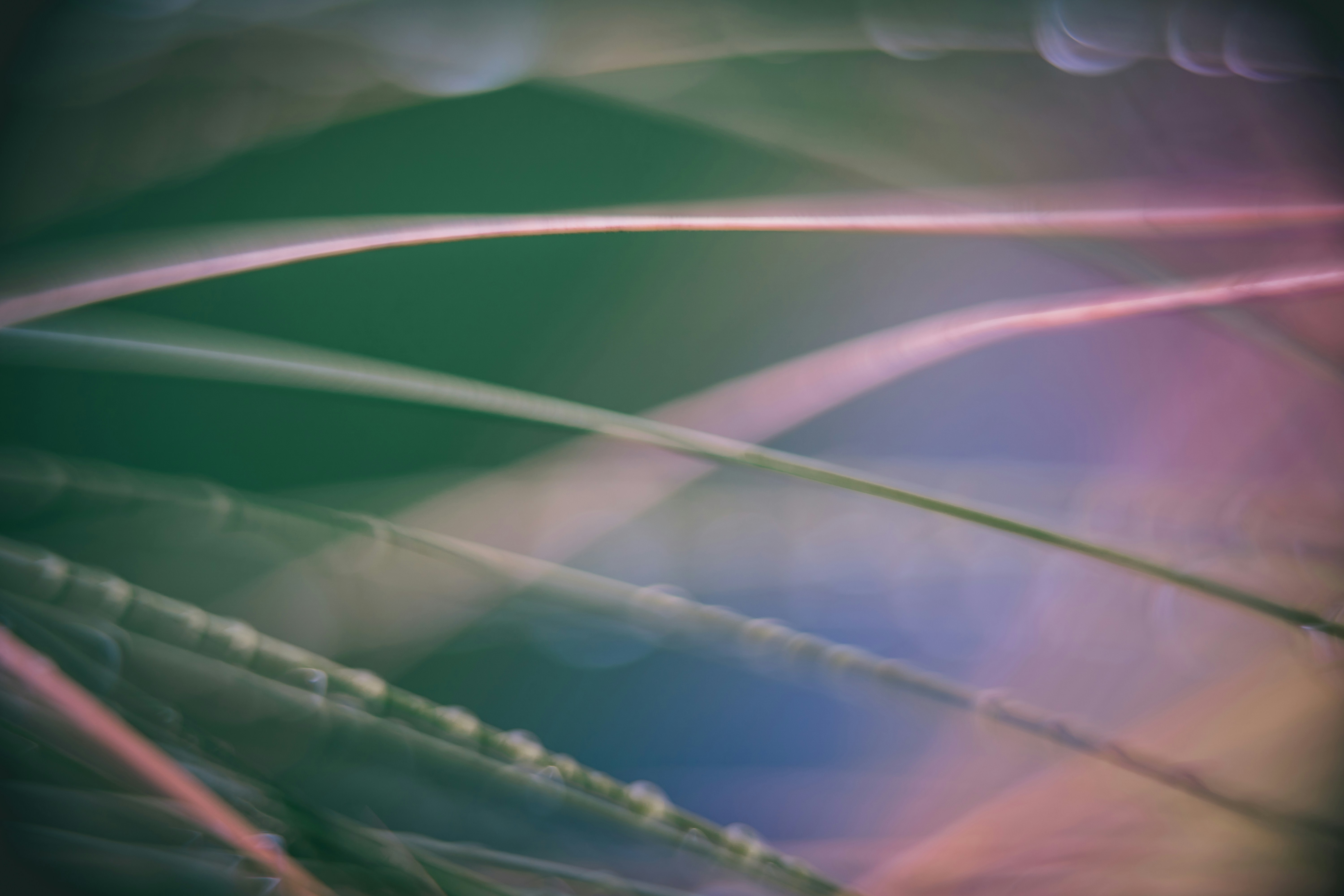 Photo by raimondklavins