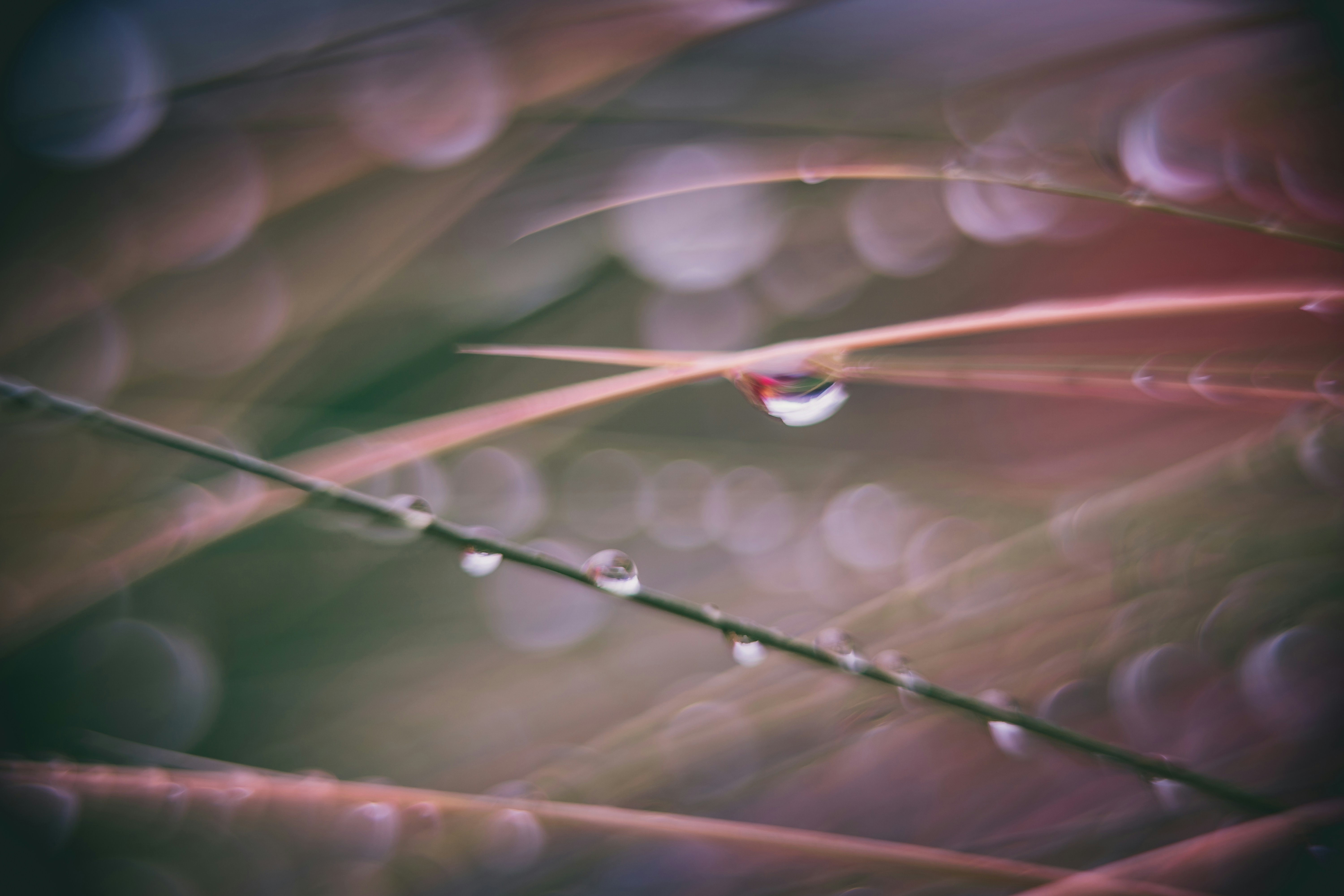 Photo by raimondklavins