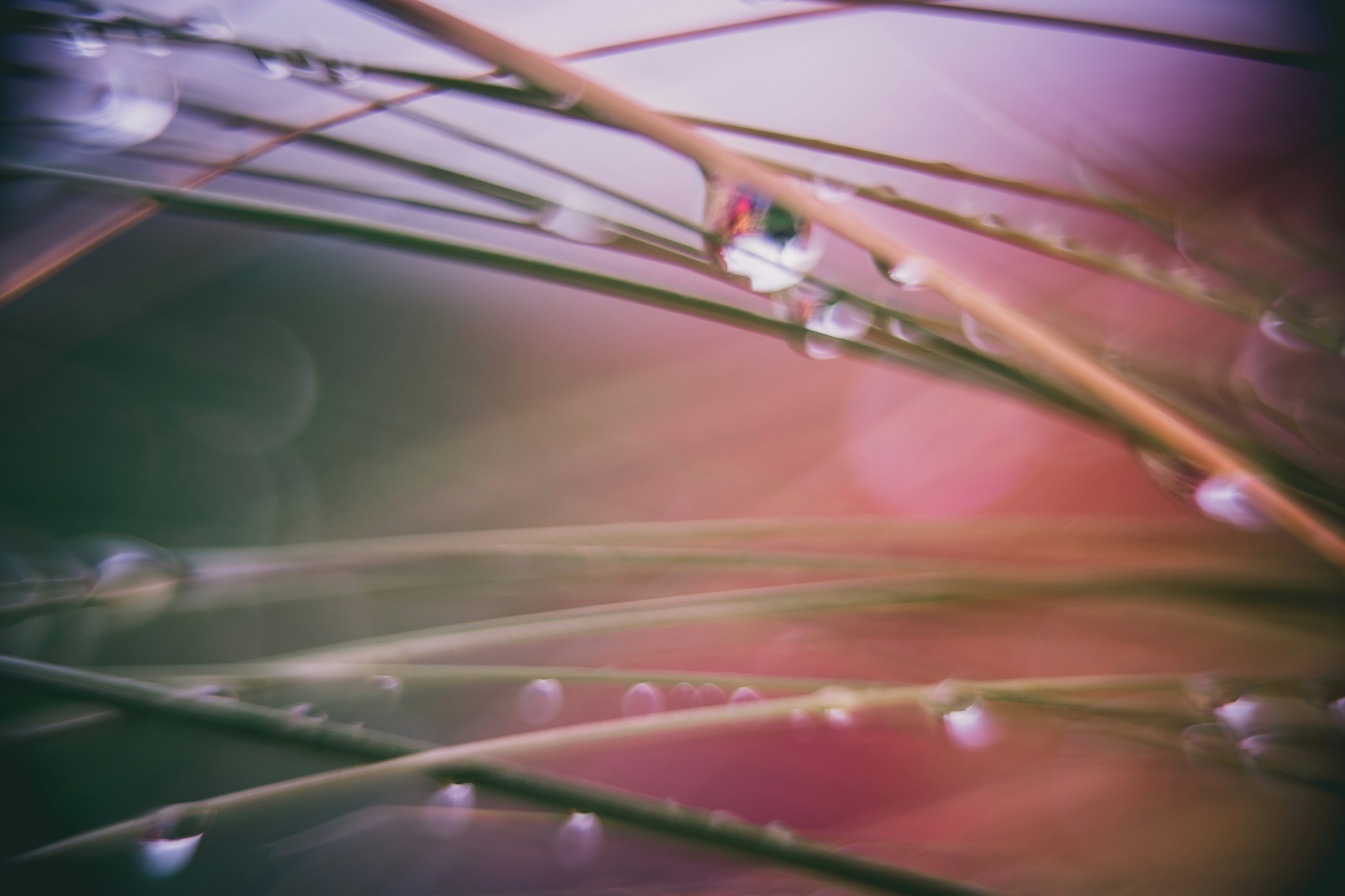 Photo by raimondklavins